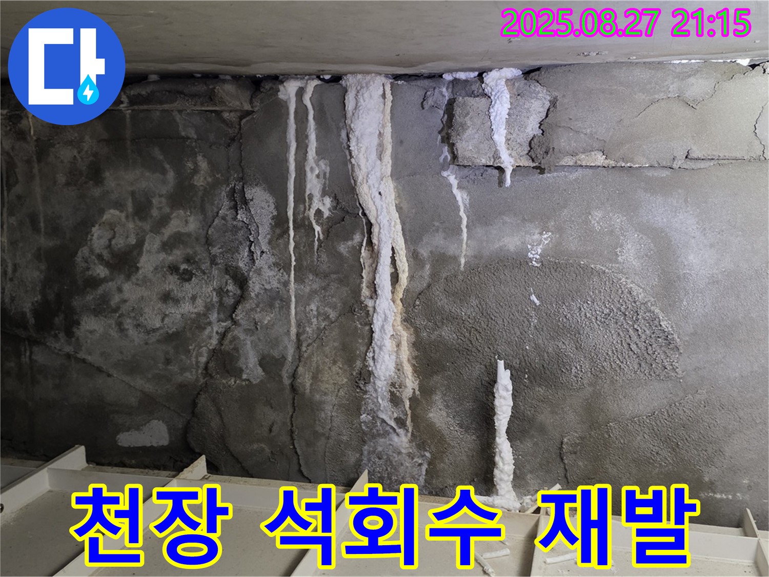 분당 운중동 산운로 주차장 천장 - 석회수 누수 재발을 막는 전문적인 솔루션을 제공하는 모습입니다.