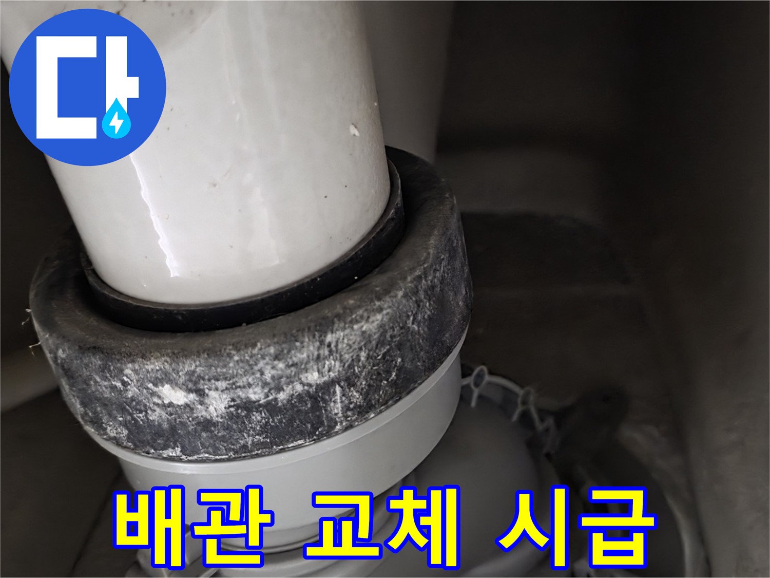 분당 운중동 산운마을 6단지 변기 누수 - 오물 배관 교체가 시급한 상황