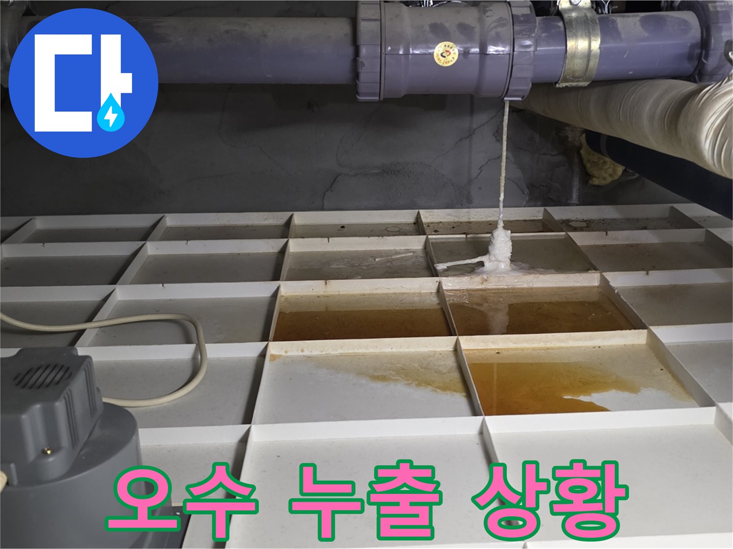 분당 운중동 산운마을 6단지에서 발생한 오수 누출 긴급 상황 - 위생 문제와 악취 발생 우려가 있습니다.