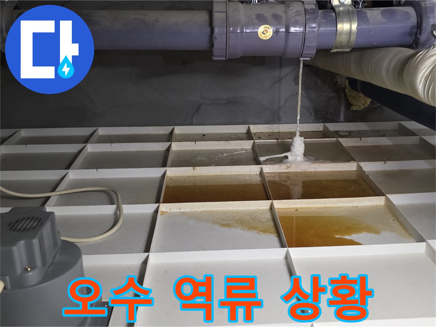 분당 운중동 산운마을 6단지에서 발생한 오수 역류 긴급 상황 - 위생 문제와 악취 발생 우려가 있습니다.