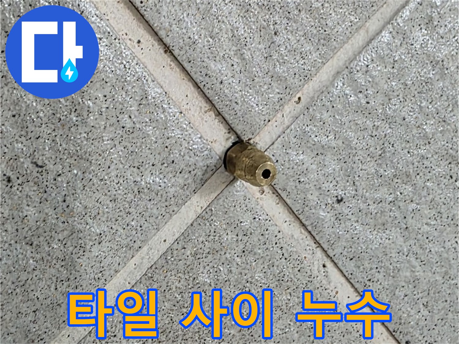 분당 운중동 산운마을 누수 - 타일 사이 작은 틈새도 놓치지 않고 꼼꼼하게 점검합니다.