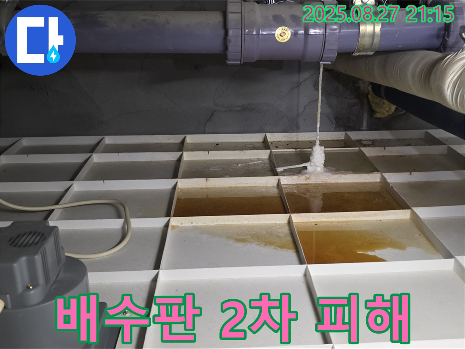 분당 운중동 산운마을 - 배수판 오염으로 인한 2차 피해 - 신속한 조치가 필요합니다.