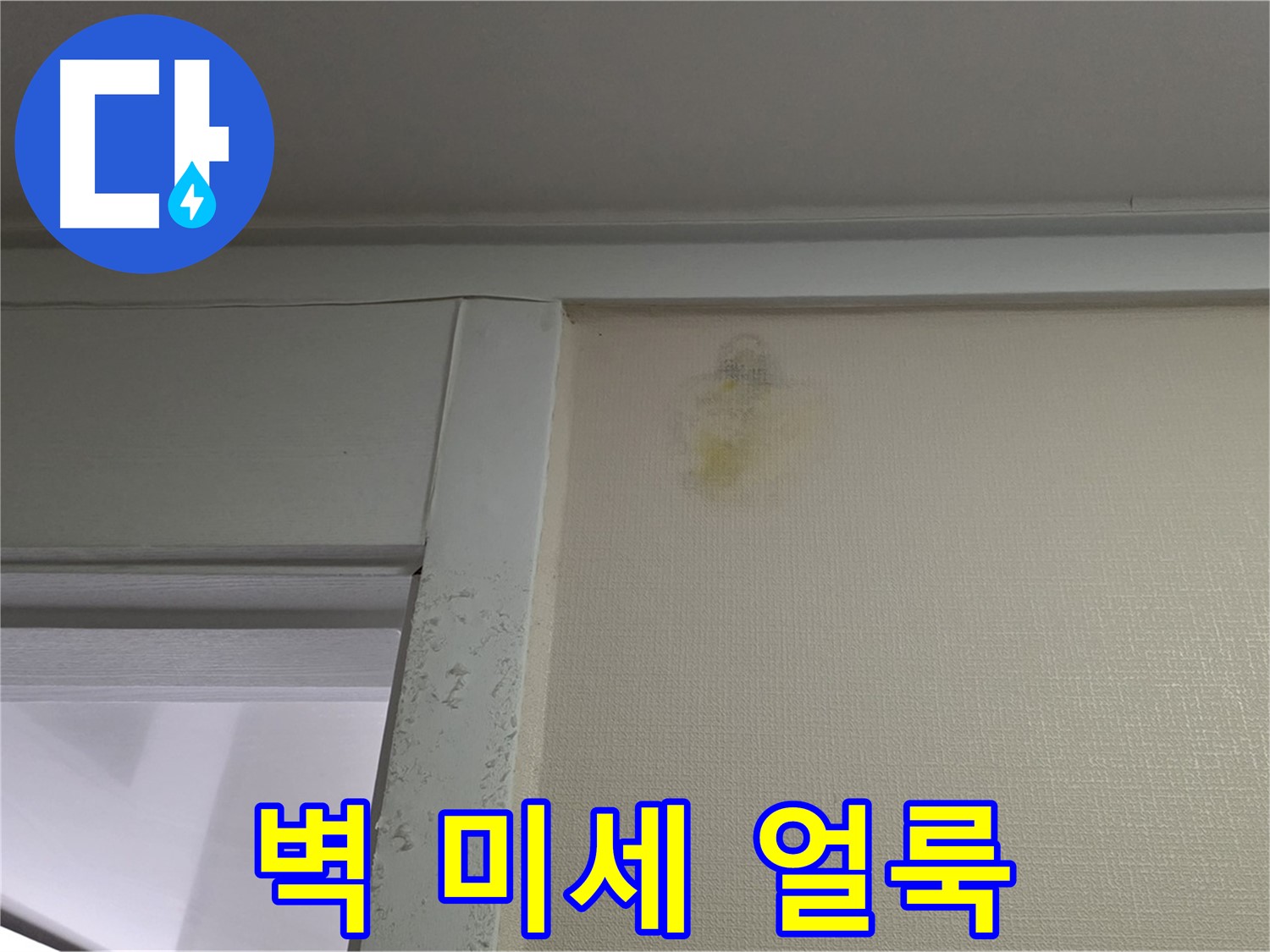 분당 운중동 산운마을 아파트 - 벽 미세 얼룩 누수 초기 진단
