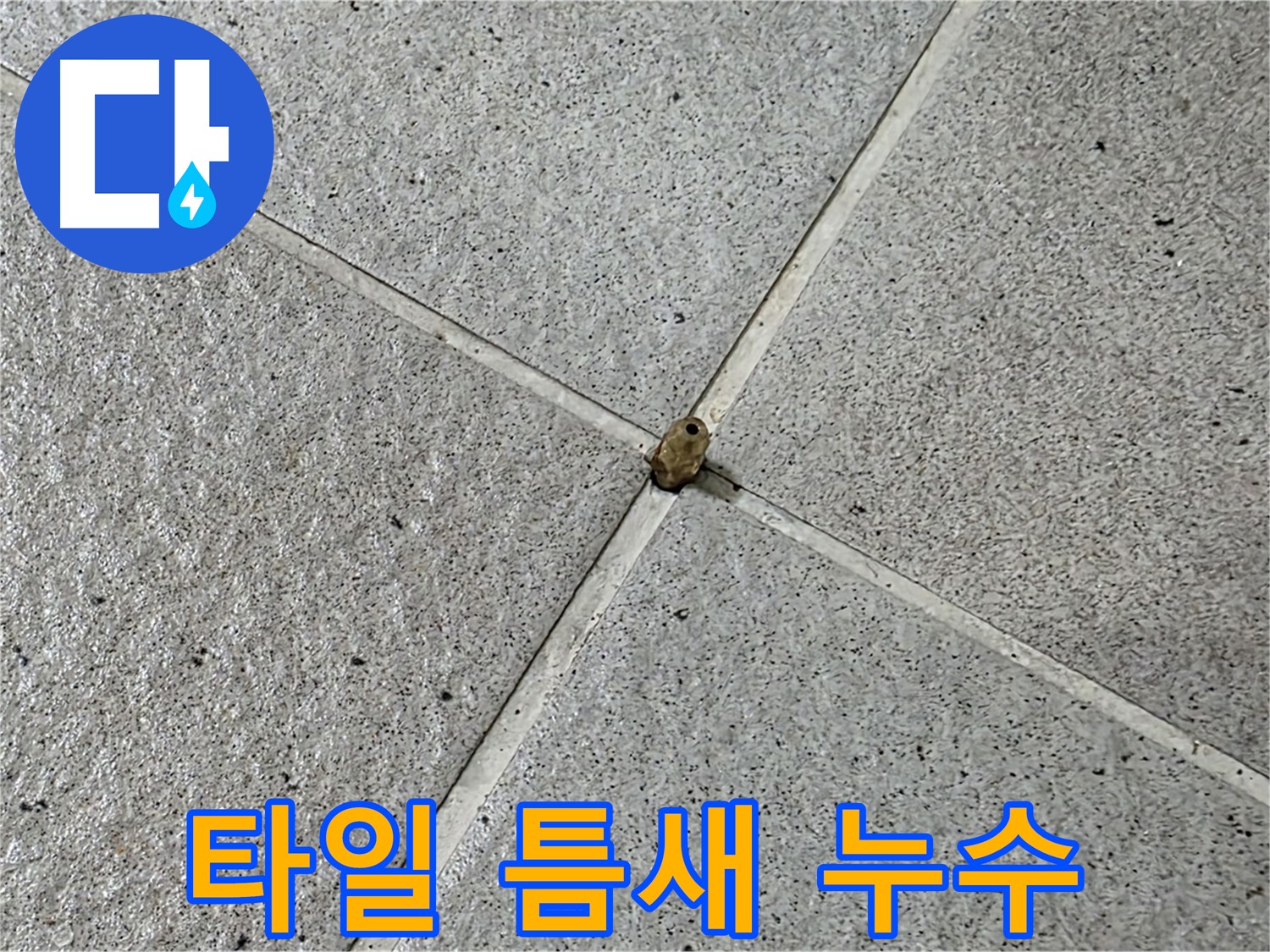 분당 운중동 산운마을에서 발생한 타일 틈새 누수 - 정확한 탐지와 신속한 공사로 해결