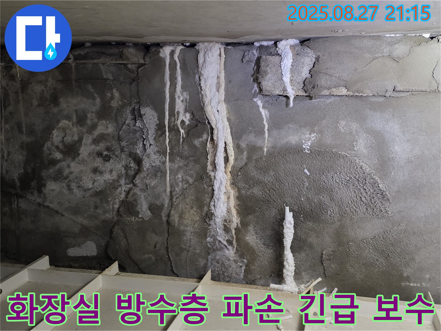 분당 운중동 아파트 화장실 방수층 파손으로 인한 긴급 누수 보수 현장 - 신속하고 정확한 시공으로 누수 피해를 최소화합니다.