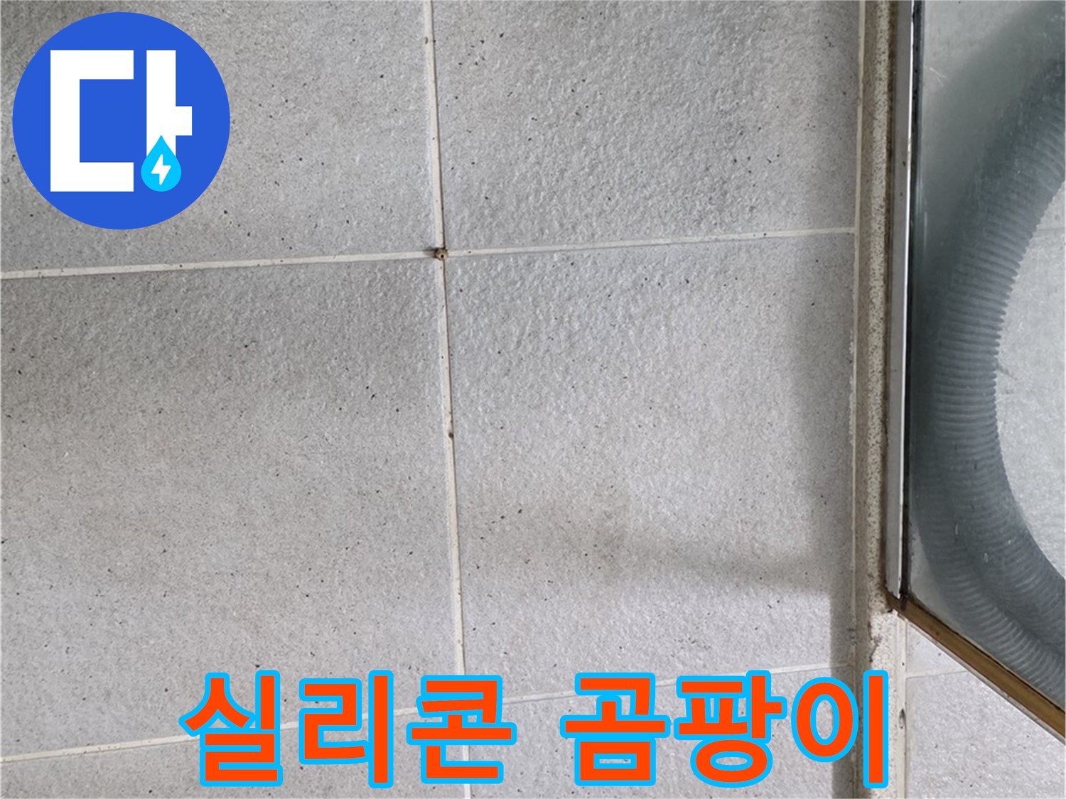 분당 운중동 욕실 샤워부스 - 실리콘 변색과 곰팡이는 습기 침투의 증거입니다.