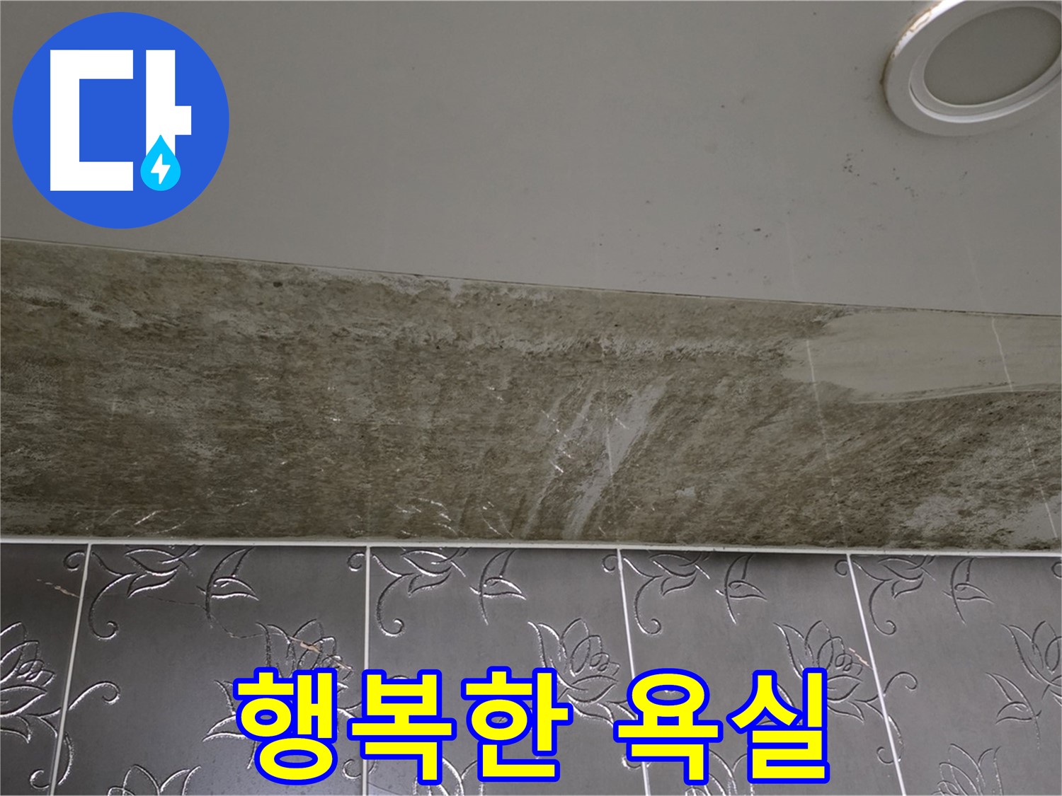 곰팡이 핀 화장실 천장 - 곰팡이 걱정 없는 행복한 욕실