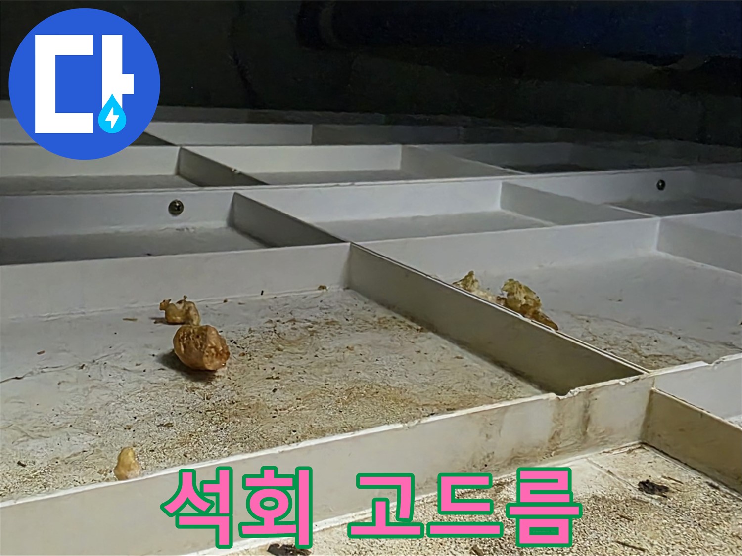 석회 고드름 - 천장에서 떨어진 석회수