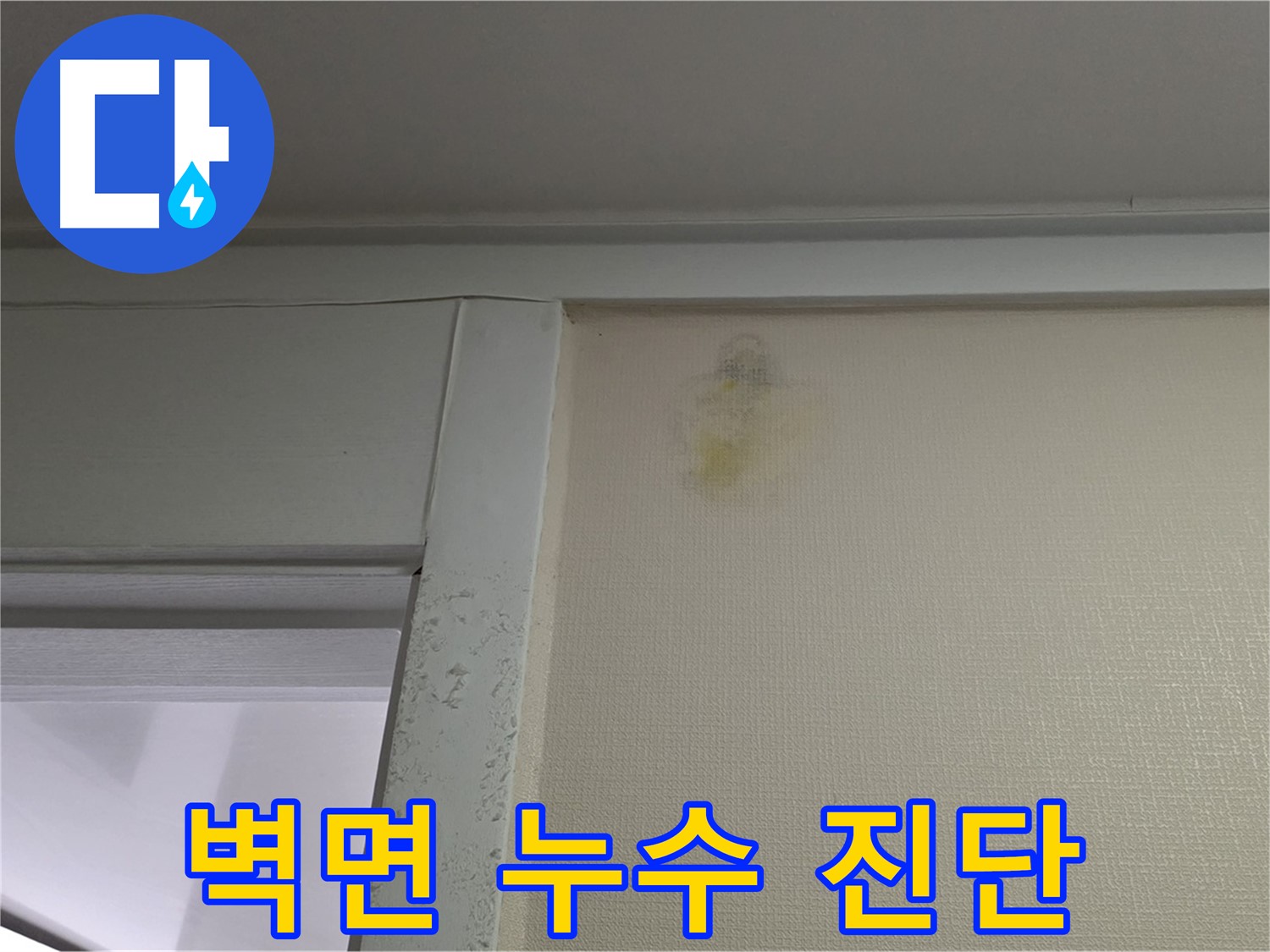 성남 분당 운중동 산운마을 6단지 아파트 벽면 누수 - 꼼꼼한 누수 진단 및 원인 분석
