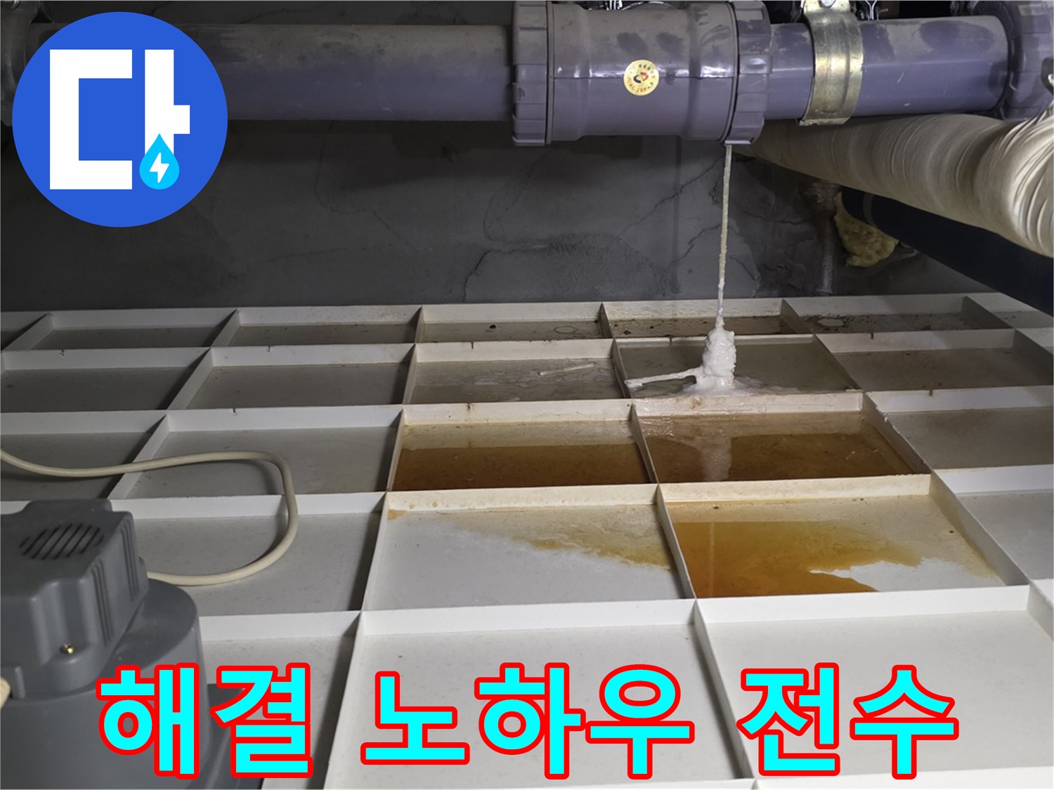 성남 분당 운중동 산운마을 6단지에서 누수 문제를 완벽하게 해결하는 노하우를 보여주는 모습 - 숙련된 기술과 경험이 중요합니다.
