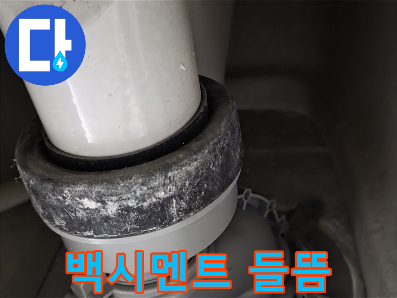 성남 분당 운중동 산운마을 변기 누수 - 변기 하부 백시멘트 들뜸 현상 확인