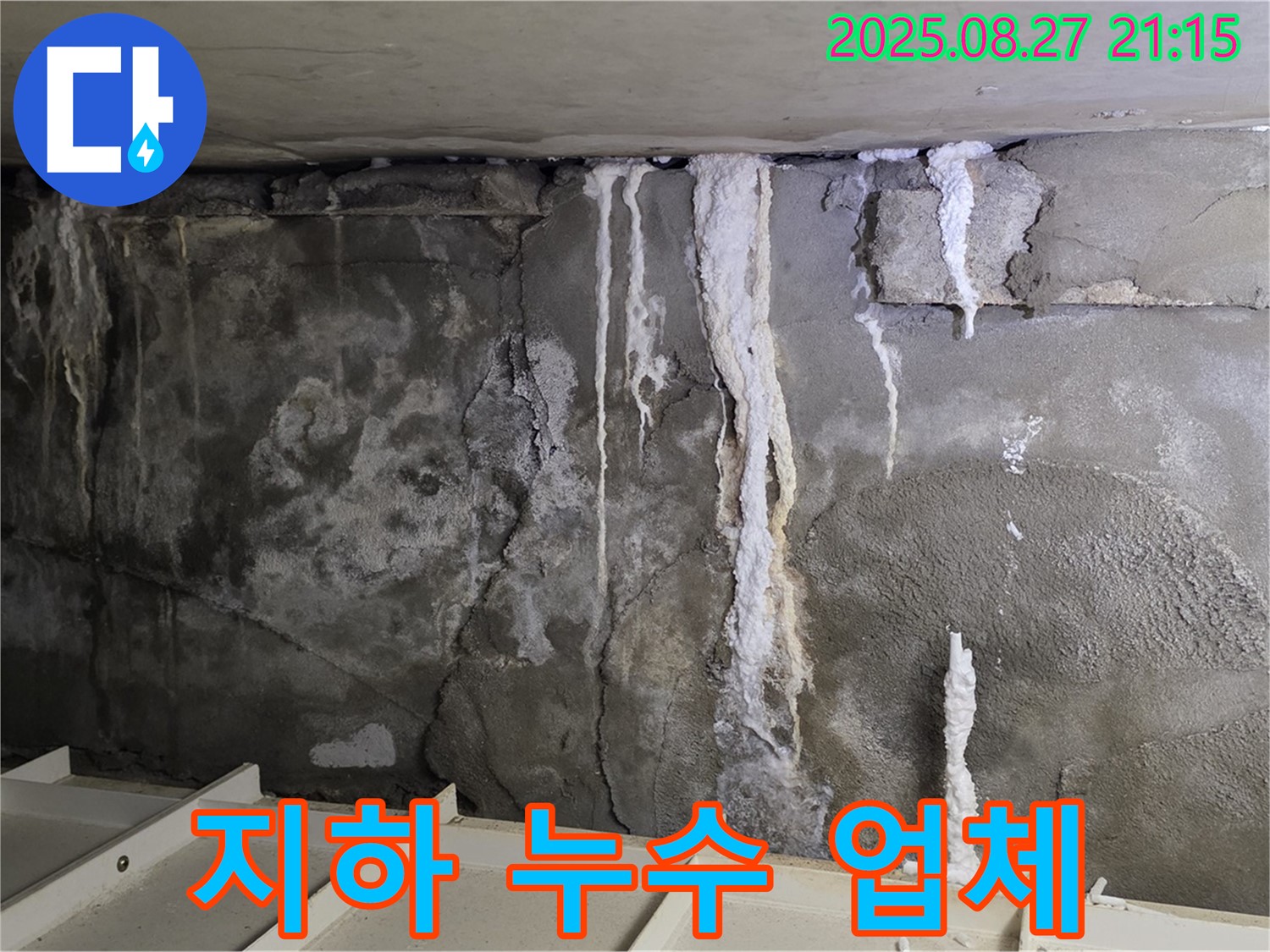 성남 분당 운중동 산운마을6단지 지하 누수 - 믿을 수 있는 누수 업체를 찾고 계신가요?