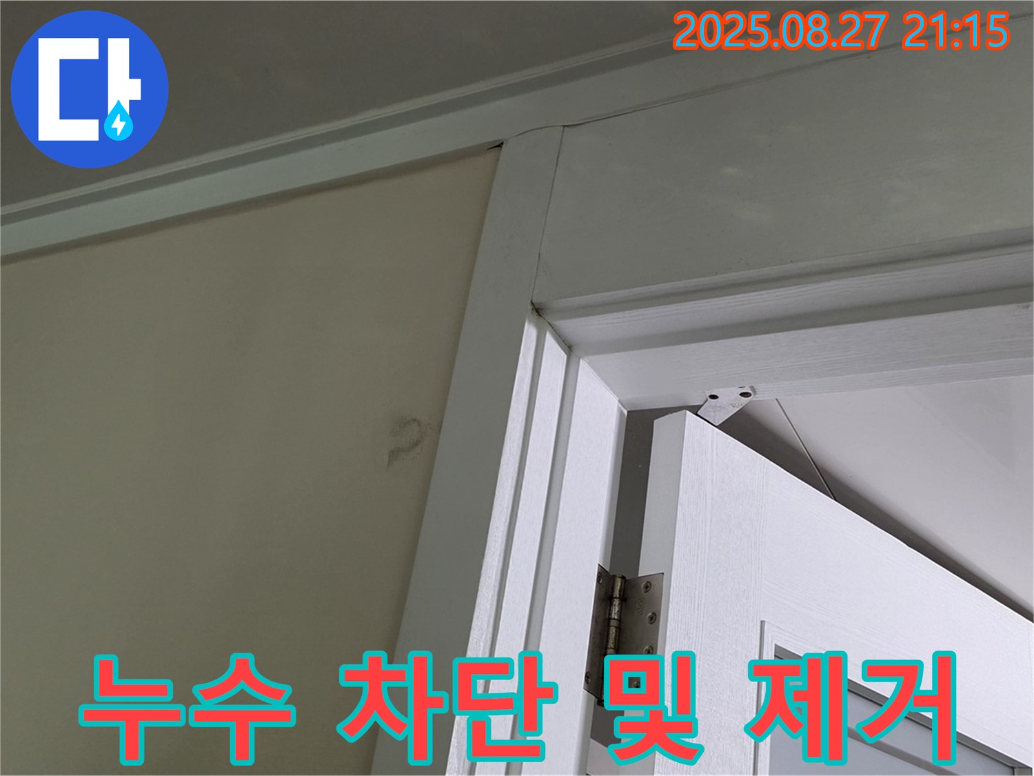 성남 분당 운중동 아파트 문 옆 벽 누수 차단 - 누수 원인을 제거하고 곰팡이까지 완벽하게 제거하는 전문 업체의 시공입니다.