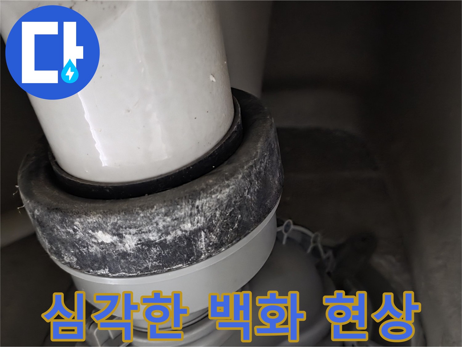 성남시 분당구 운중동 산운로 변기 누수 - 심각한 백화 현상으로 인한 누수 의심