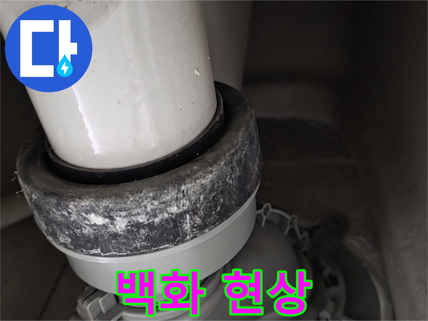 성남시 분당구 운중동 산운마을 변기 누수 - 하부 누수와 백화 현상 동시 발생