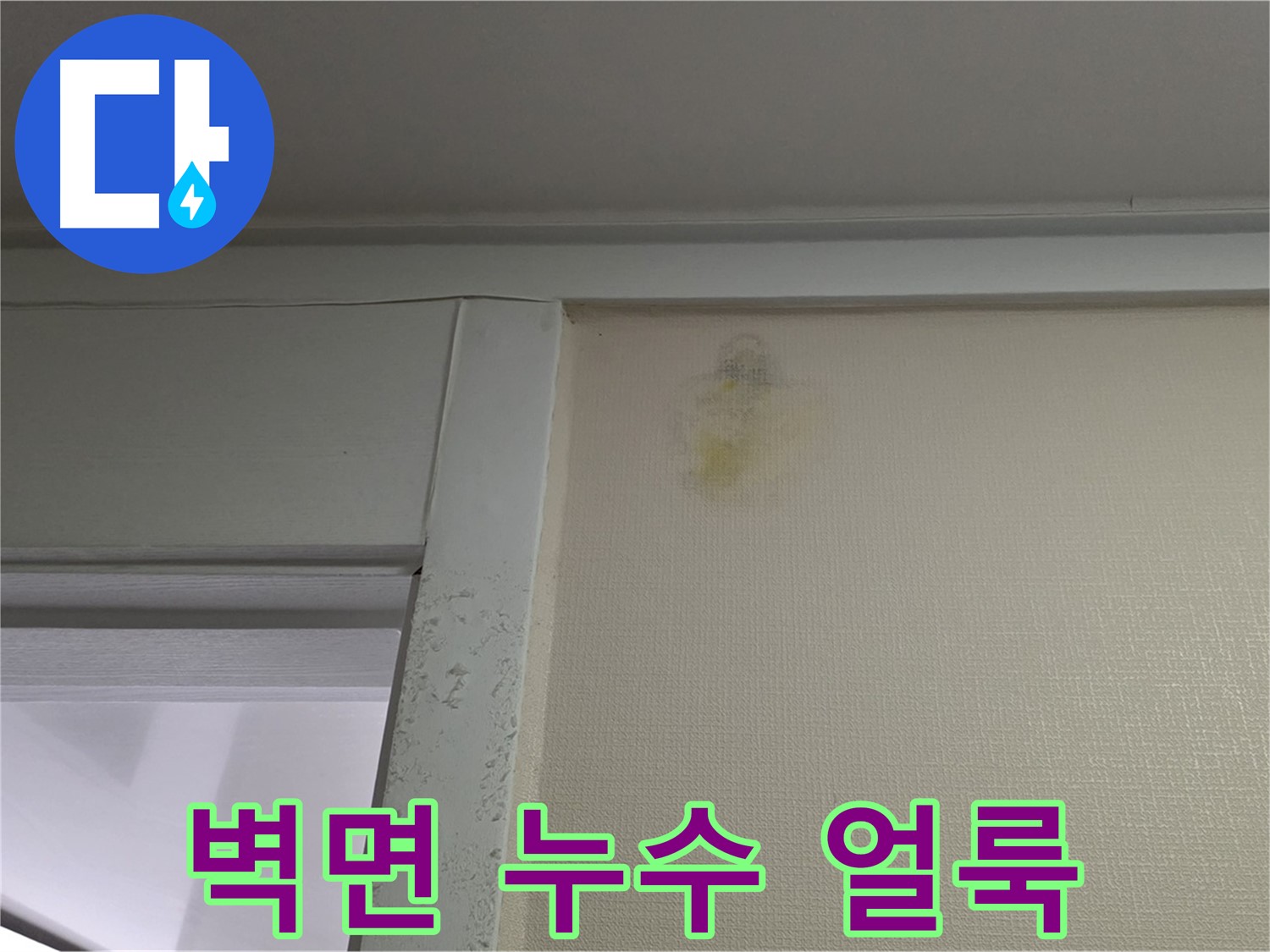 성남시 분당구 운중동 산운마을 아파트 벽면 누수 얼룩 - 정확한 누수 원인 진단 및 해결