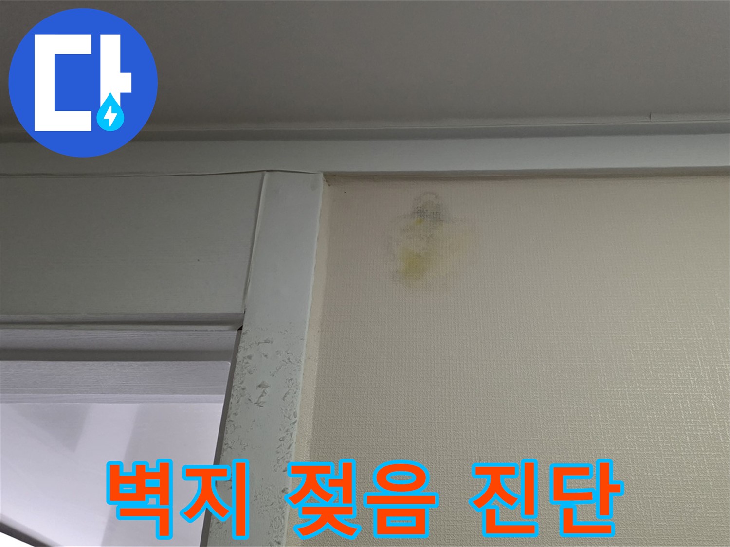 성남시 분당구 운중동 산운마을 아파트 - 벽지 젖음 초기 누수 의심