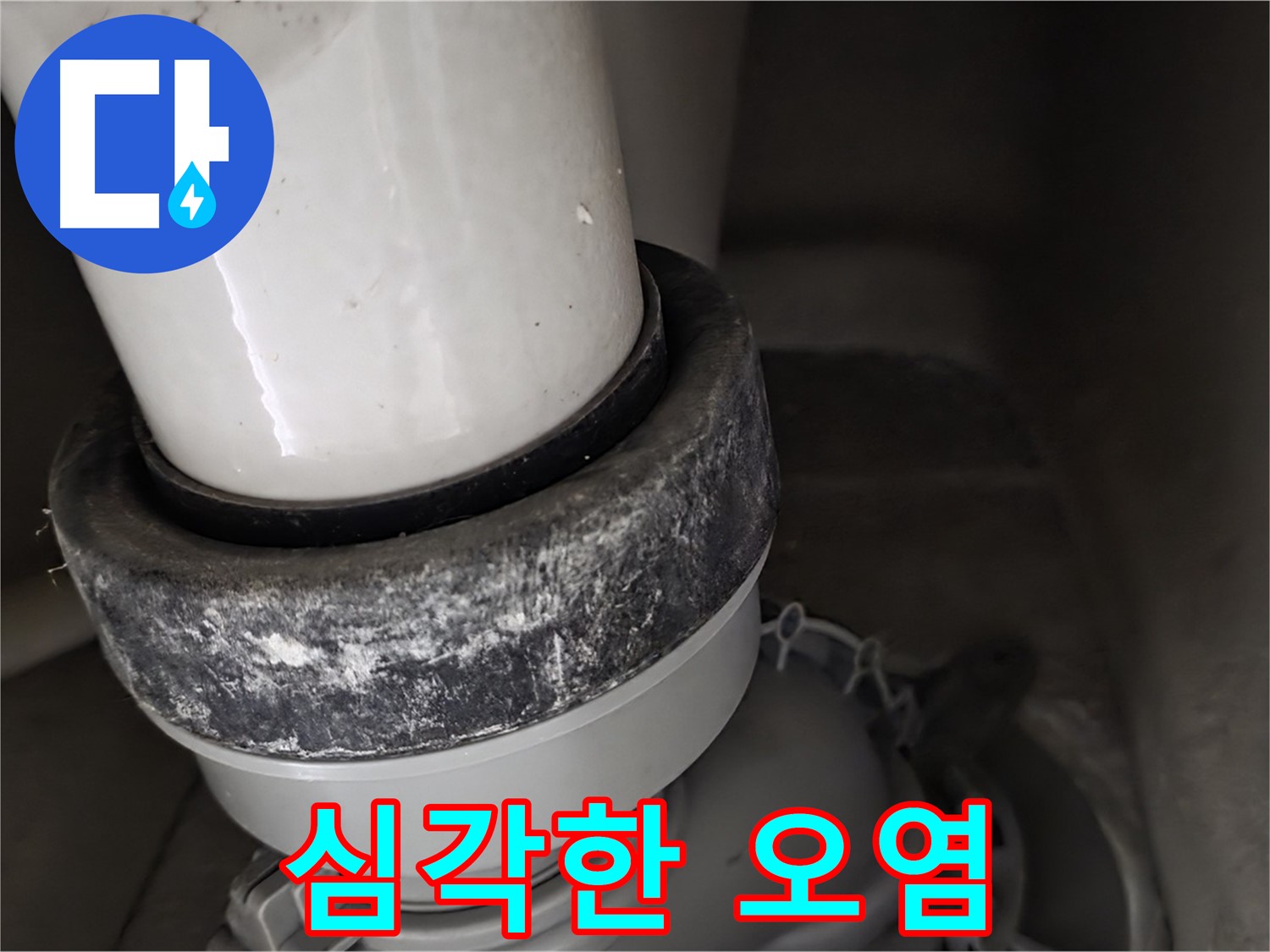 성남시 분당구 운중동 산운마을6단지 변기 누수 - 심각한 오염으로 인한 누수 의심