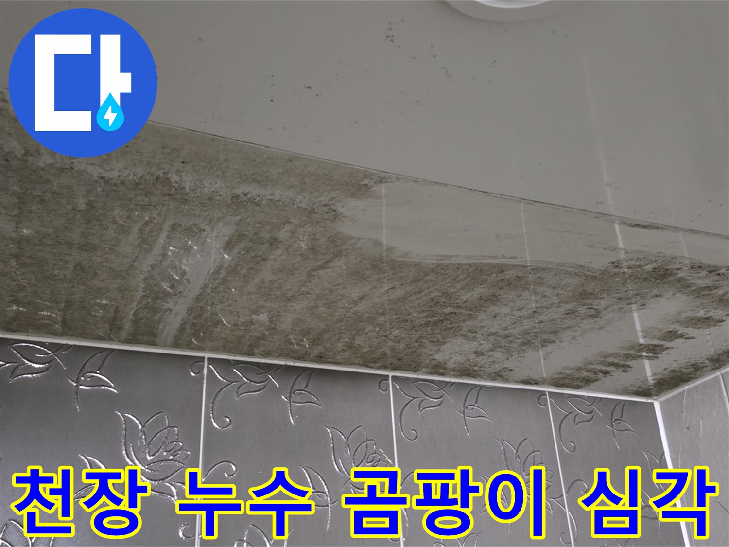 심각한 천장 누수 곰팡이 - 정확한 원인 파악과 맞춤 해결책 제시
