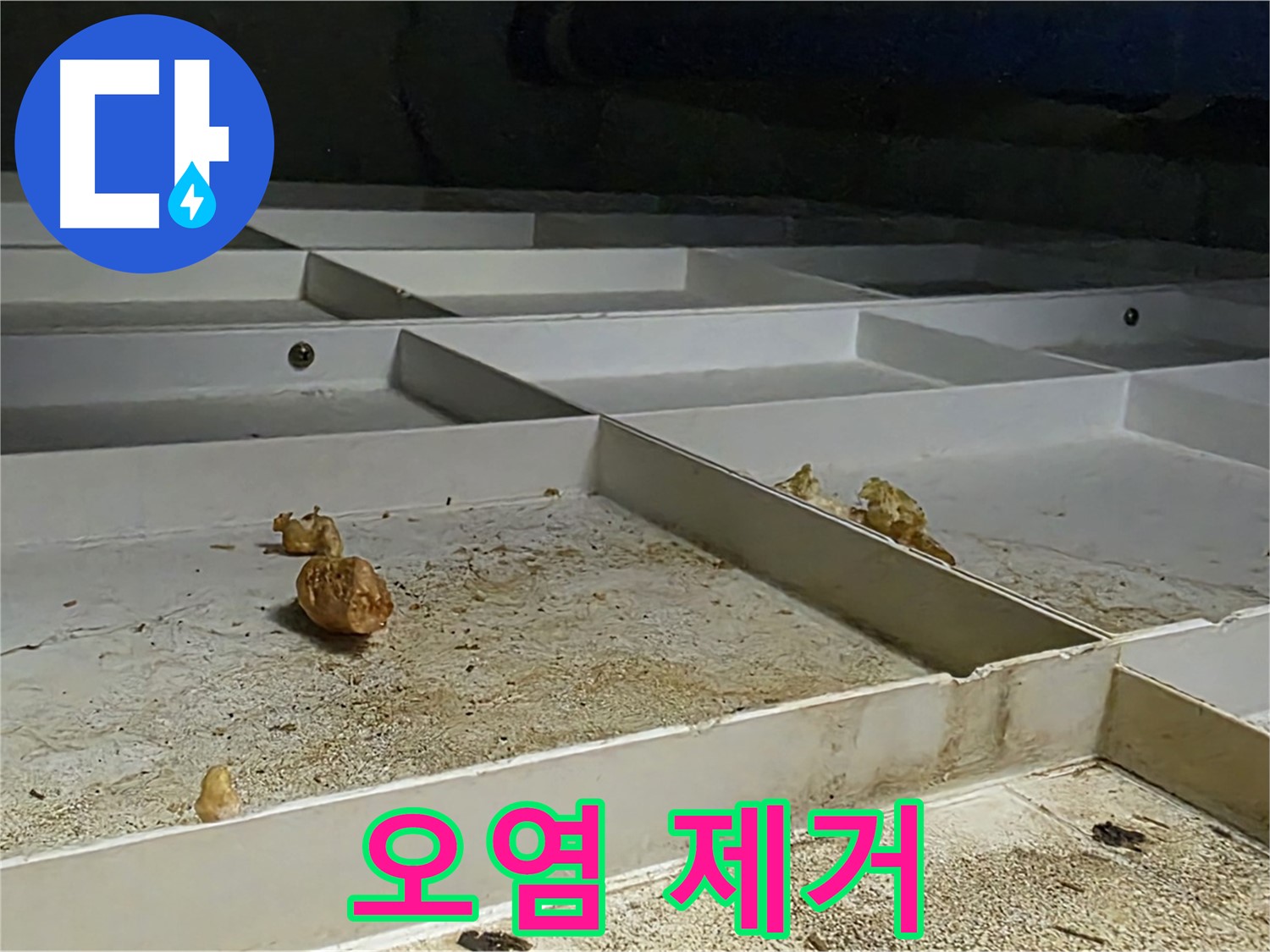 오염 제거 - 누수 후 오염 제거 작업