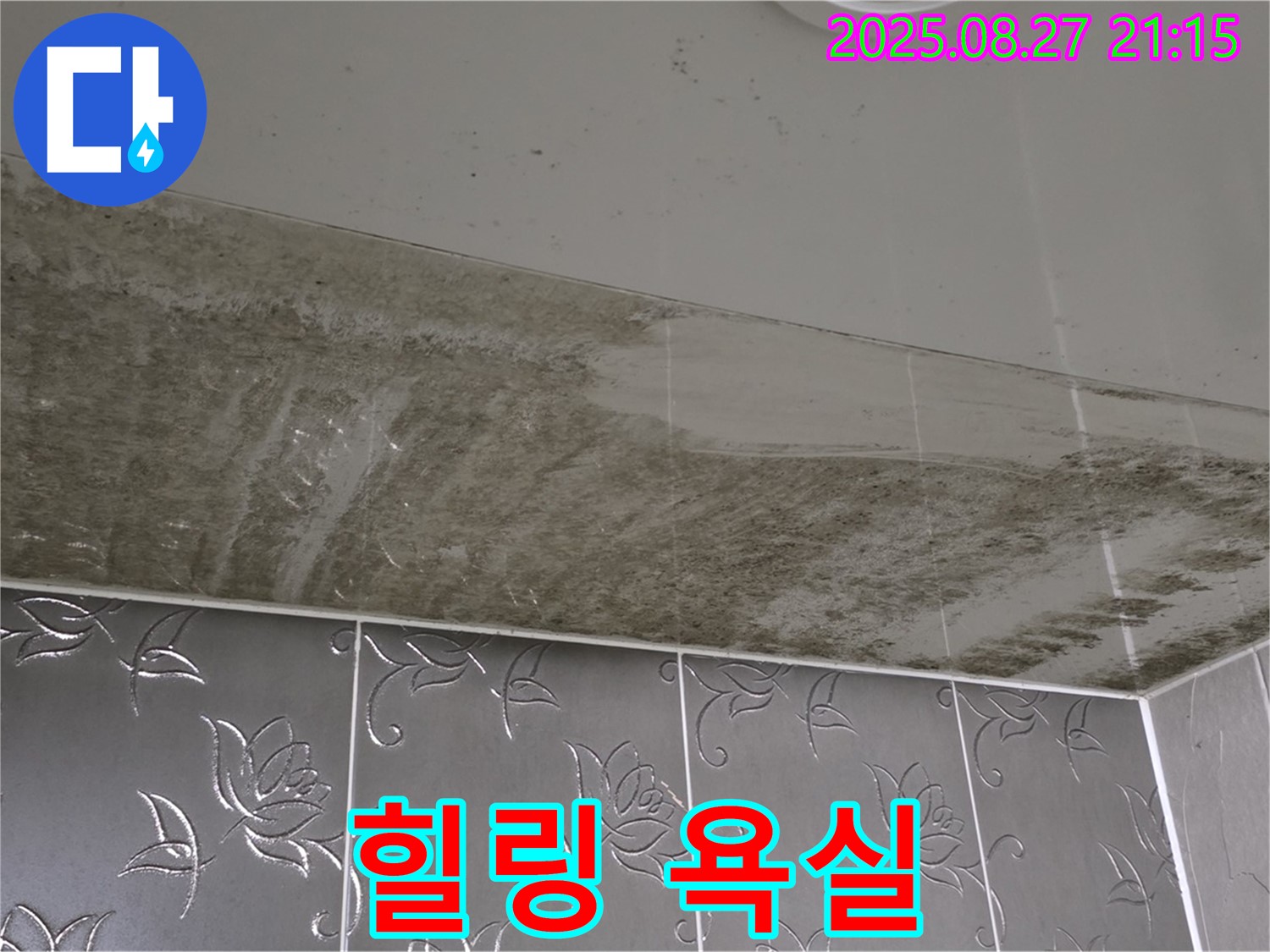 욕실 곰팡이 - 누수탐지 전문 기술로 곰팡이를 완벽하게 차단하고 힐링 공간으로 변신한 욕실을 보여주는 이미지입니다.