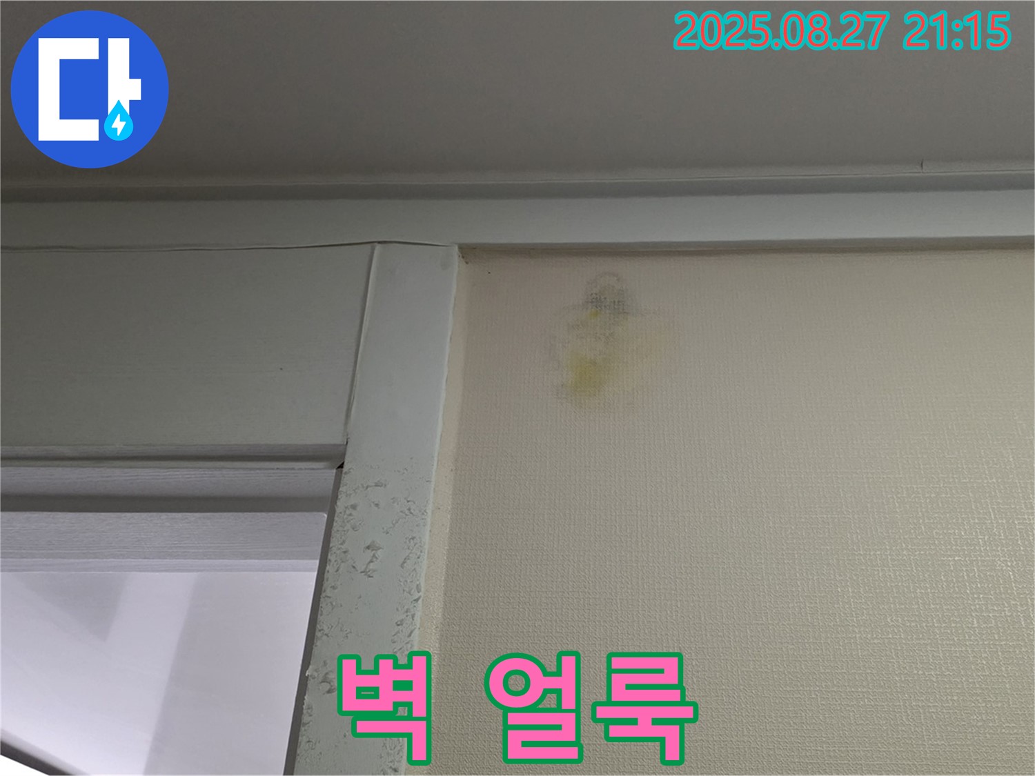 운중동 산운로 121 산운마을 6단지 아파트 - 벽 얼룩 - 곰팡이 발생 주의