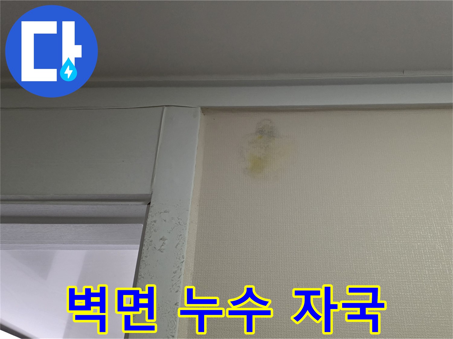운중동 산운마을 6단지 아파트 벽면 누수 자국 - 전문적인 누수 탐지 및 해결 과정