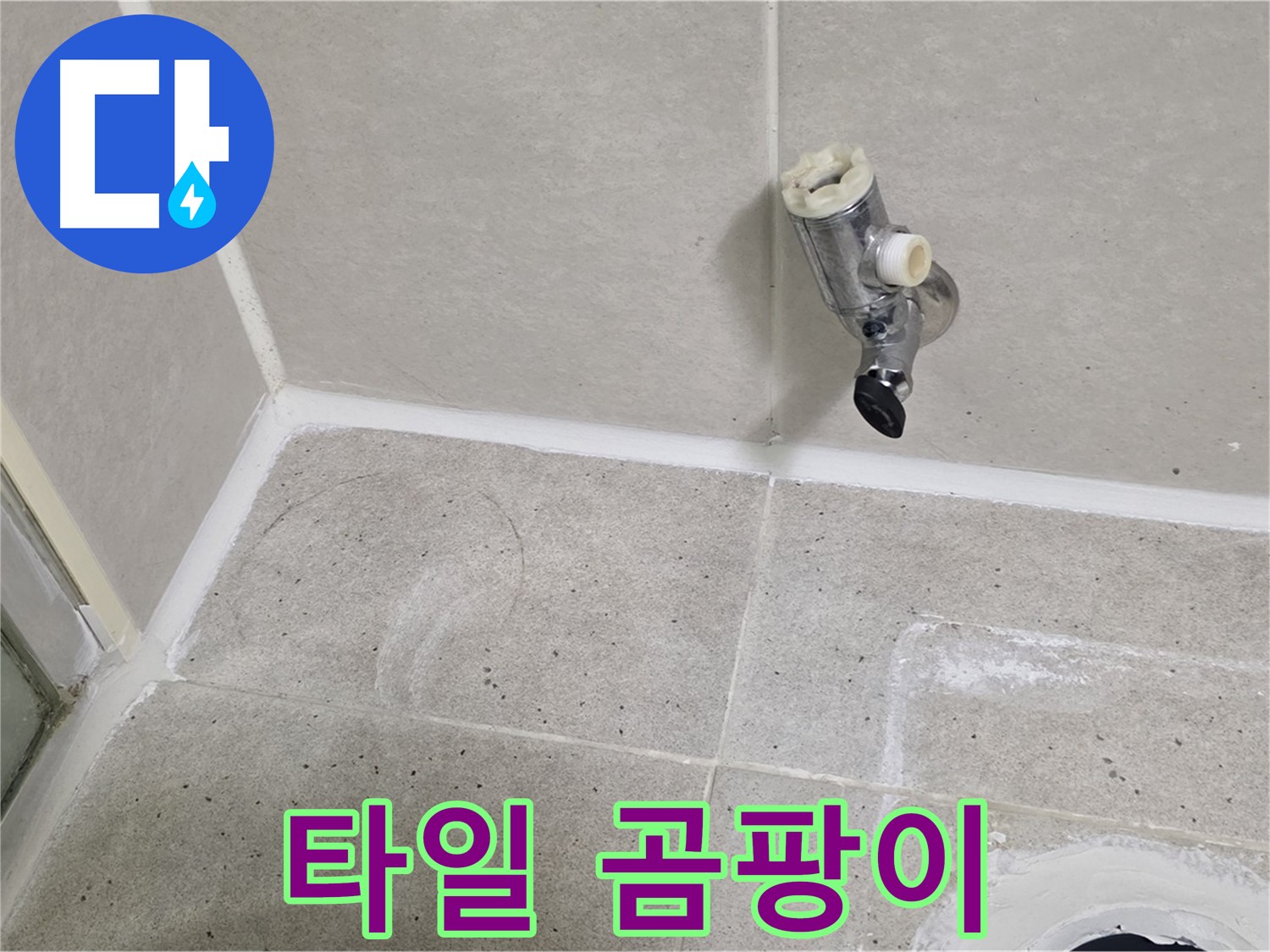 운중동 산운마을 샤워기 수전 누수 - 벽면 타일 틈새 곰팡이 발생!