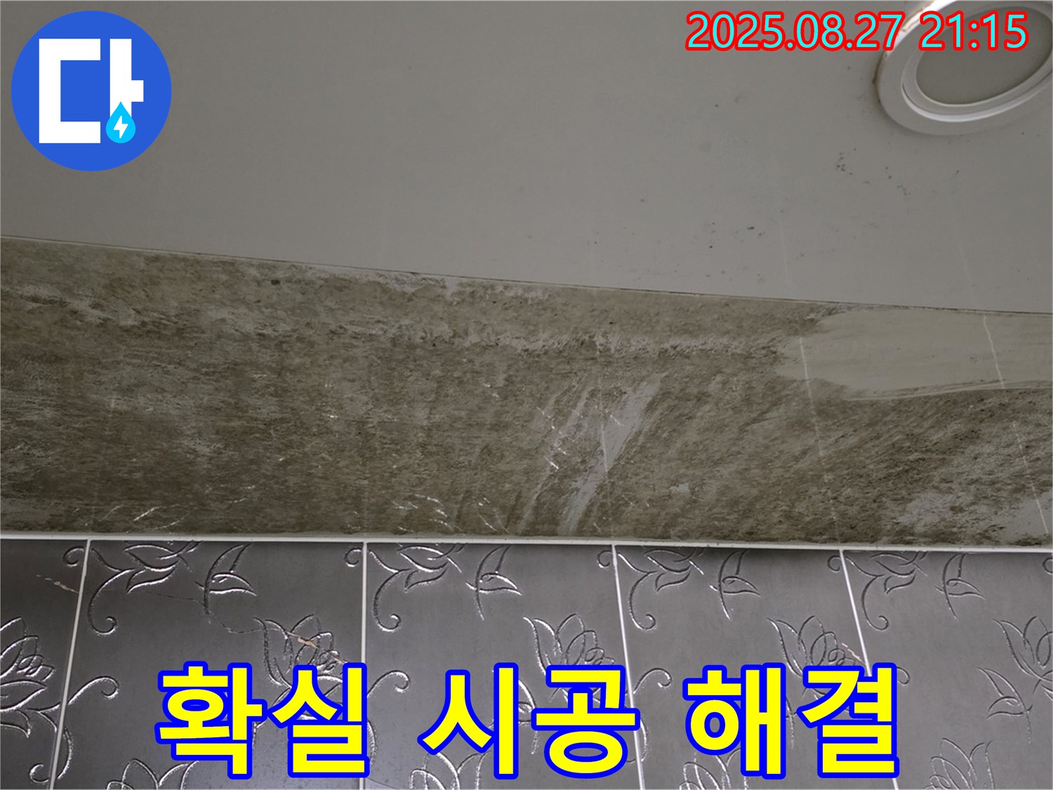 운중동 산운마을 아파트 - 곰팡이 핀 천장 누수, 확실한 시공으로 누수 문제를 해결합니다.