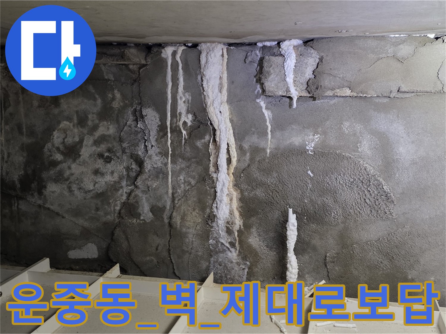 운중동 콘크리트 벽 - 엉망 시공, 석회수 재발, 제대로 된 시공 보답