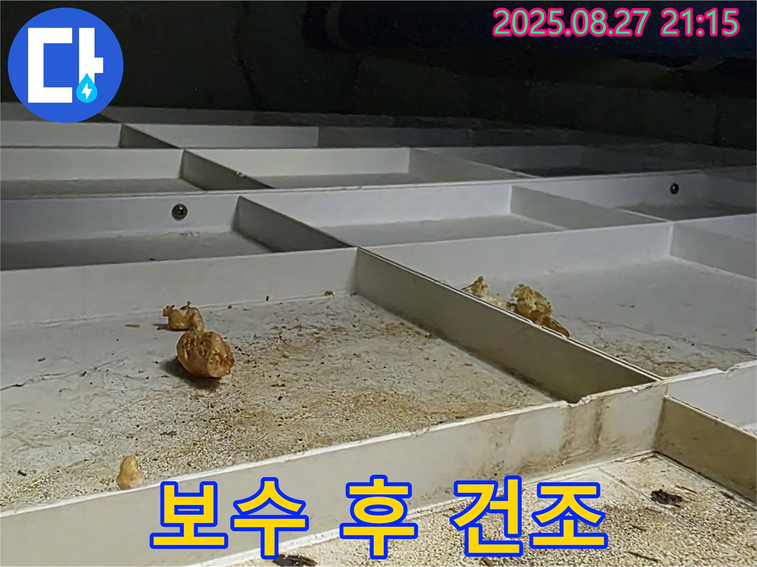 천장 누수 배관 보수 후 건조 작업 - 완벽한 마무리를 위해.
