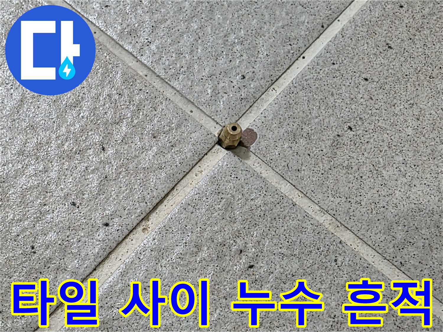 타일 사이에서 발견된 누수 흔적 - 정밀 검사가 누수 해결의 첫걸음입니다.