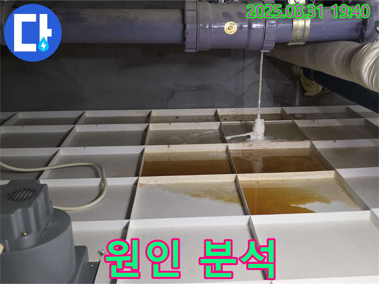 누수 원인 완벽 분석 - 분당 산운로 누수, 맞춤 해결책 제시.