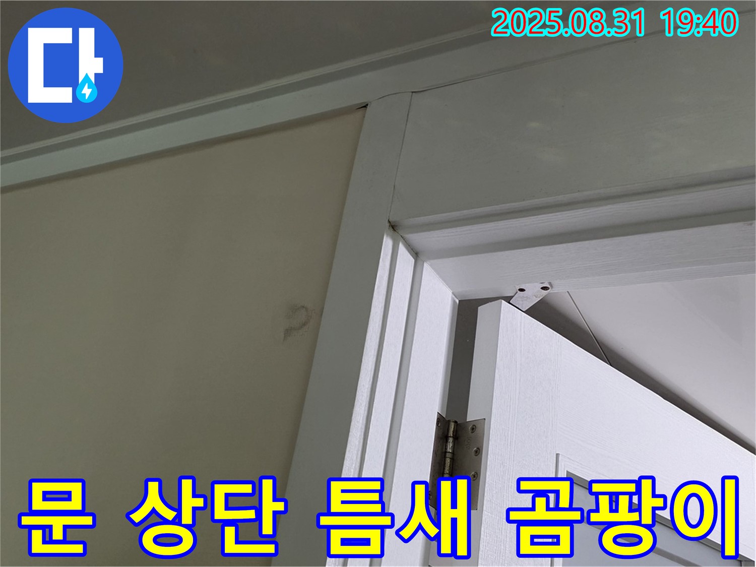 문 상단 틈새 곰팡이 - 문 상단 틈새에 곰팡이가 발생했습니다.