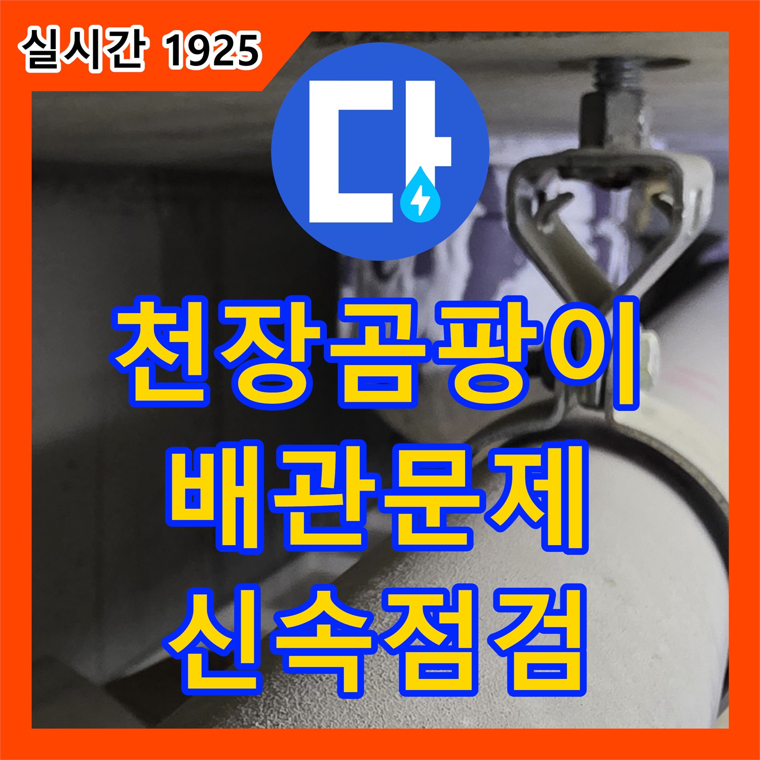 분당 누수전화, 운중동 욕실 천장 곰팡이, 윗집 배관 문제 신속 점검