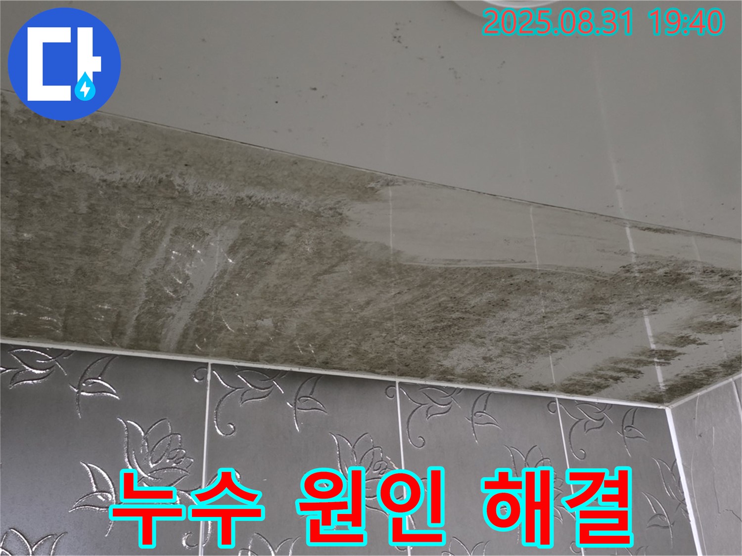 분당 산운로 - 천장 누수 해결, 곰팡이 제거까지