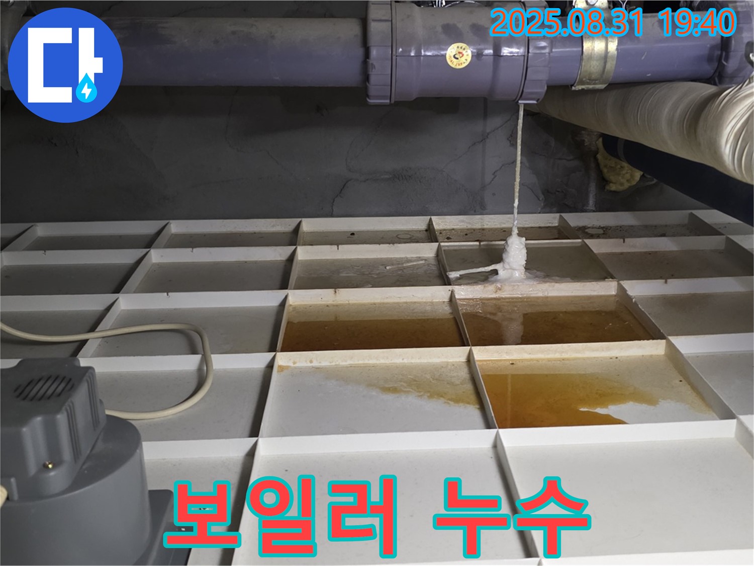 분당 운중동 누수 - 보일러 배관 문제? 긴급 점검 실시