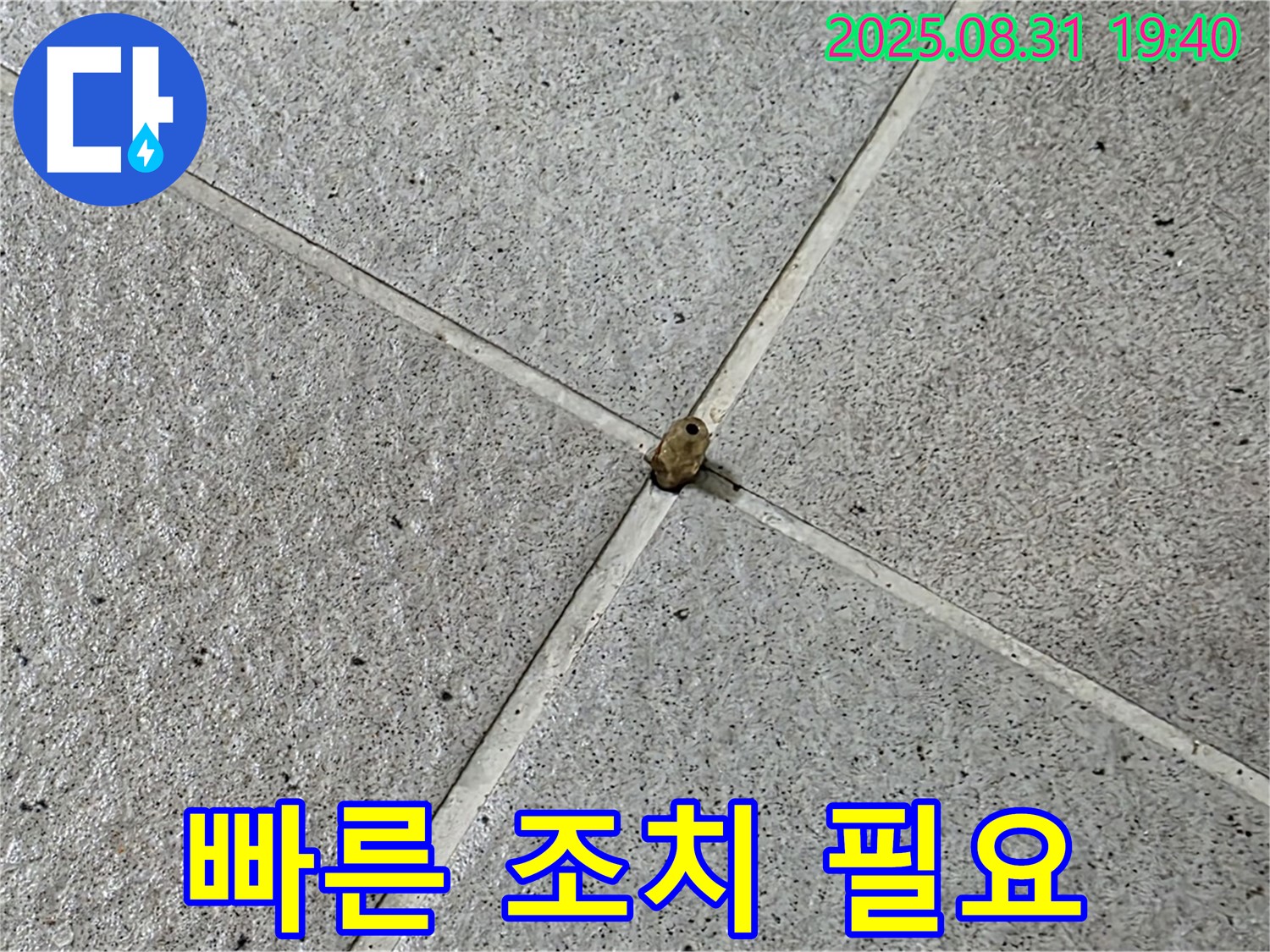 분당구 산운로 누수 현장 - 타일 틈새 누수, 빠른 조치가 피해를 줄입니다.