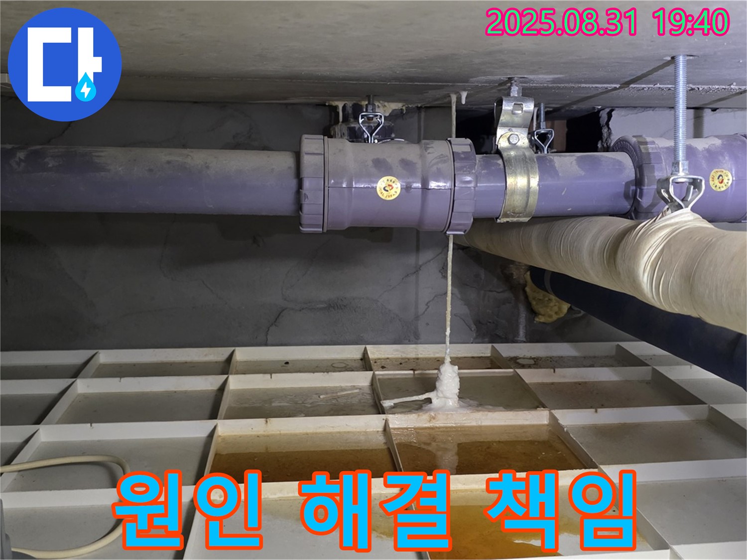 분당구 수내동 누수 - 누수 원인부터 완벽 해결까지 책임 시공