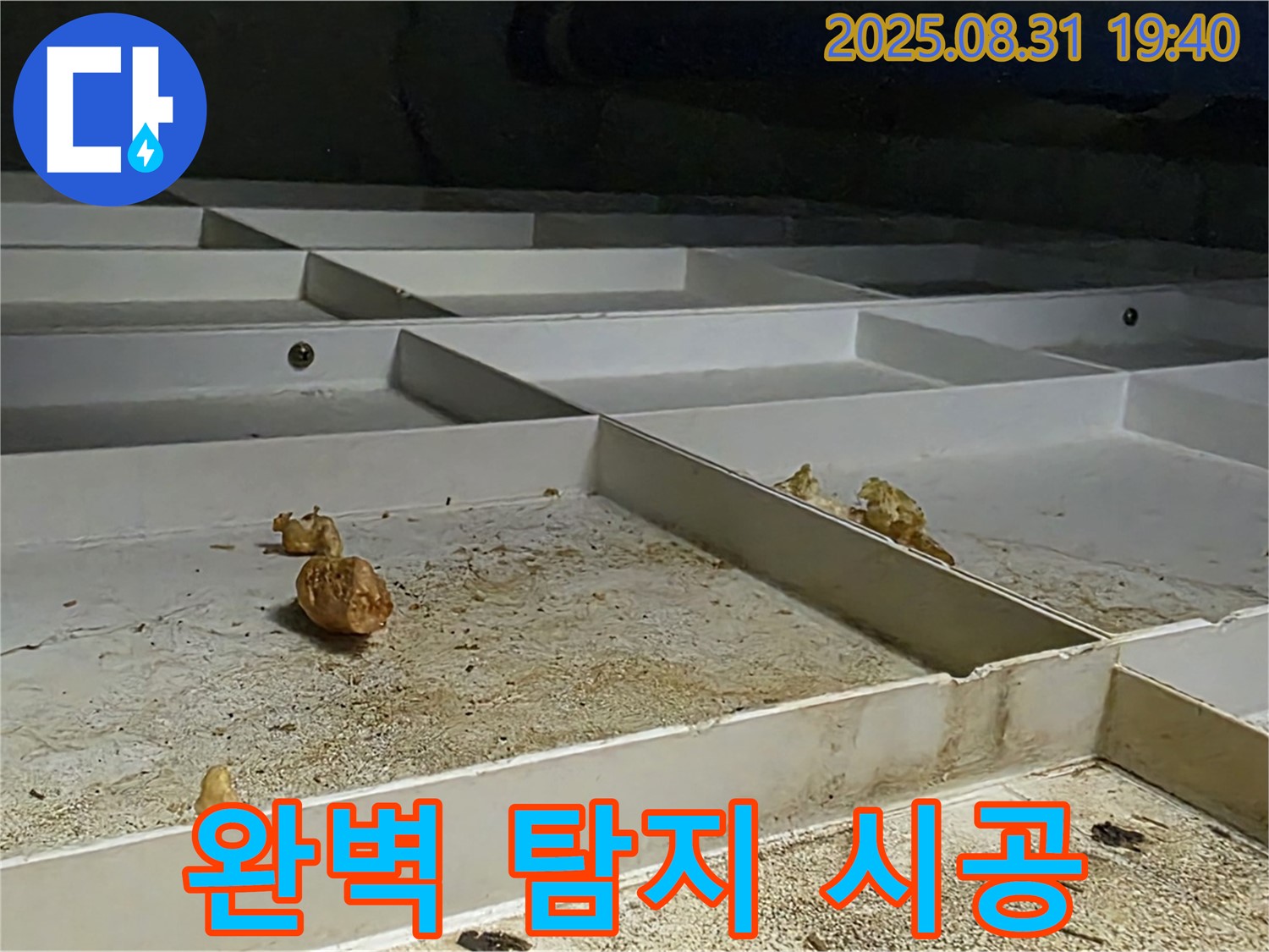 성남 분당 산운로 누수 - 완벽한 탐지와 책임 시공 과정