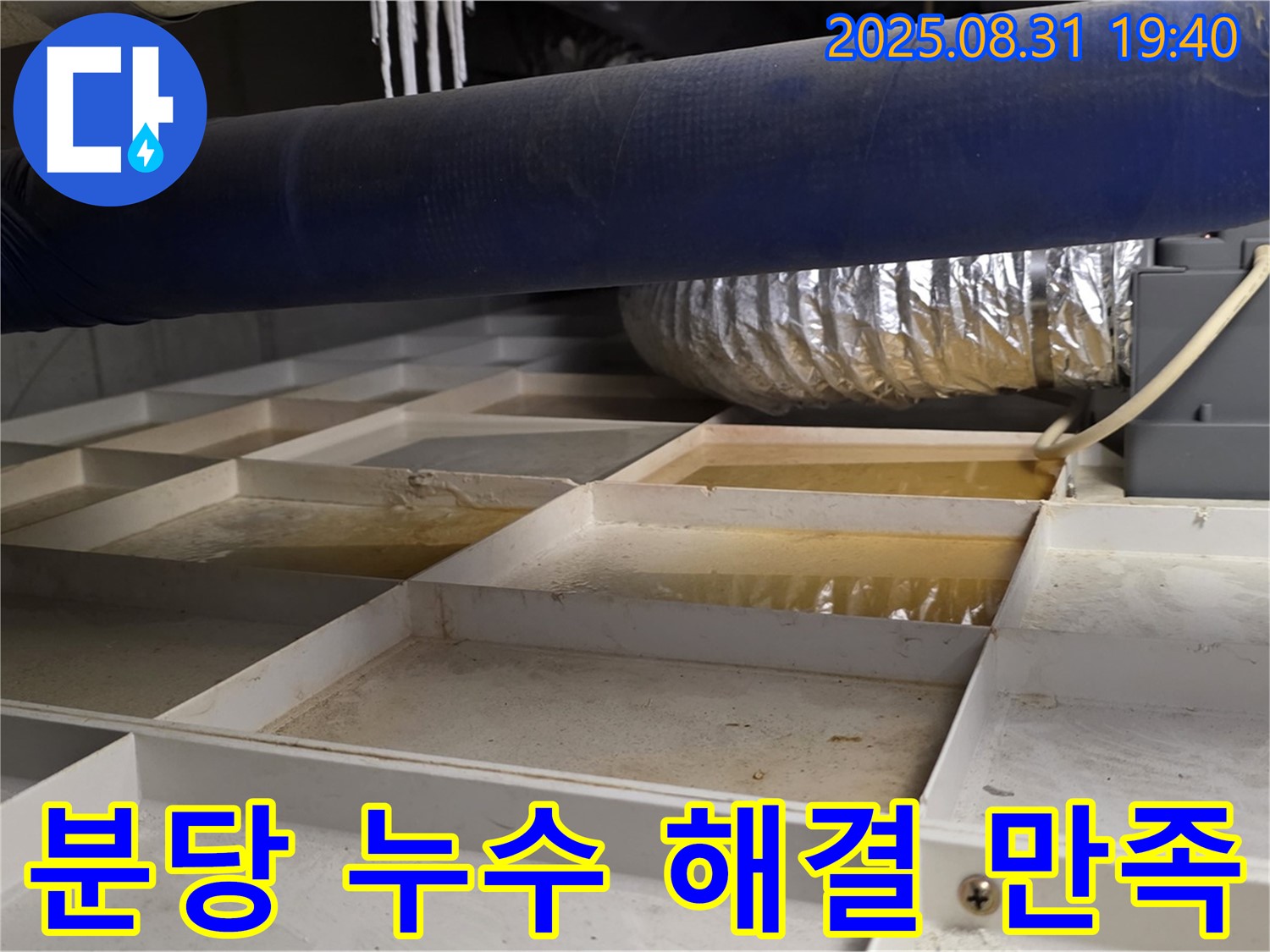 성남시 분당구 산운로 누수 - 완벽한 해결, 고객 만족 후기