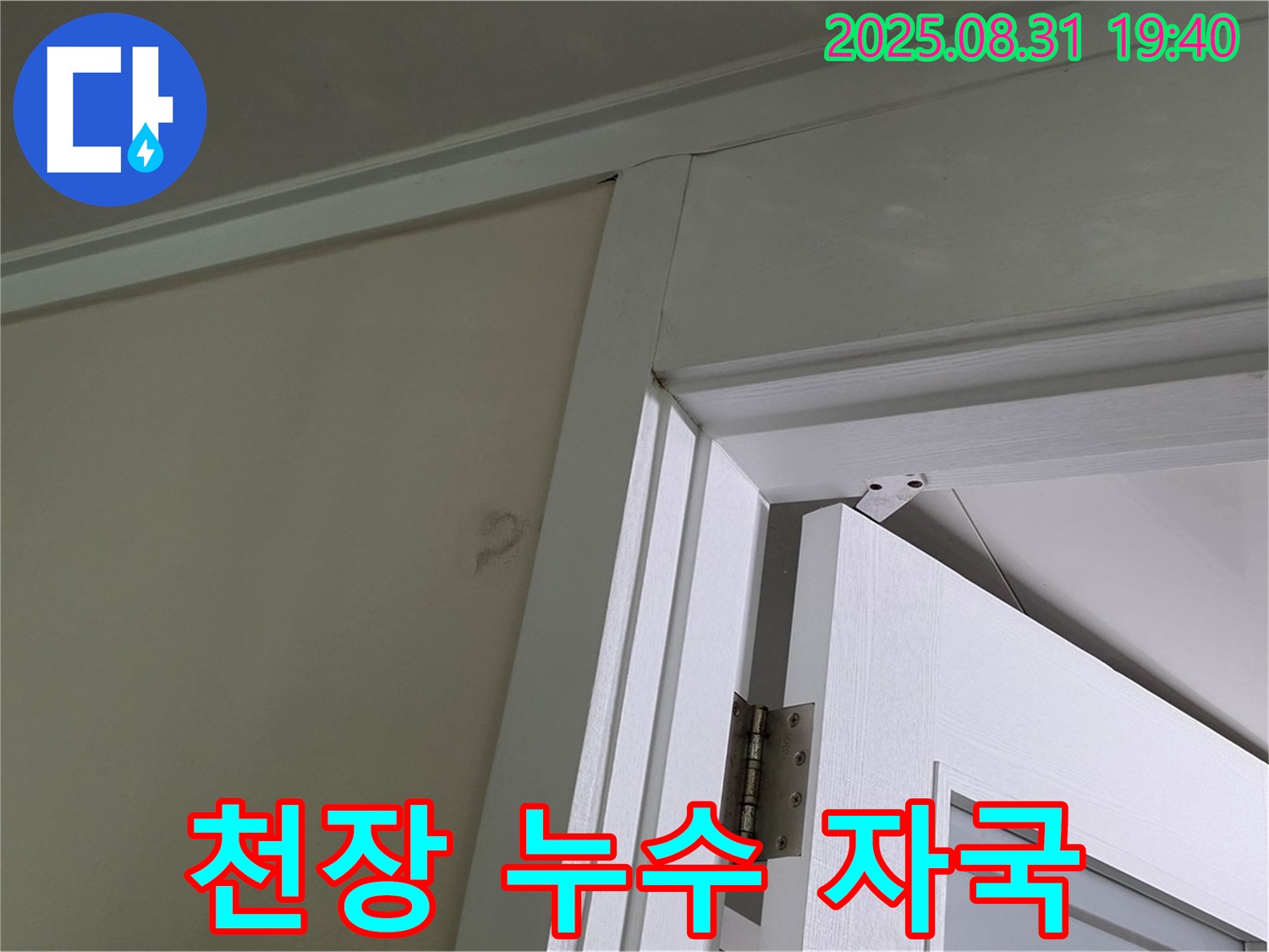 천장 누수 자국 - 천장에 생긴 누수 자국이 선명하게 보입니다.