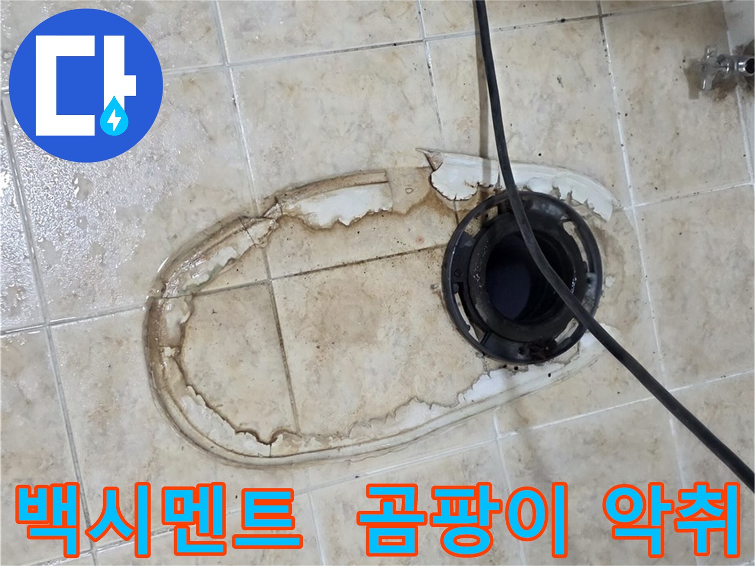 변기 누수 - 낡은 백시멘트, 곰팡이와 악취 발생 원인
