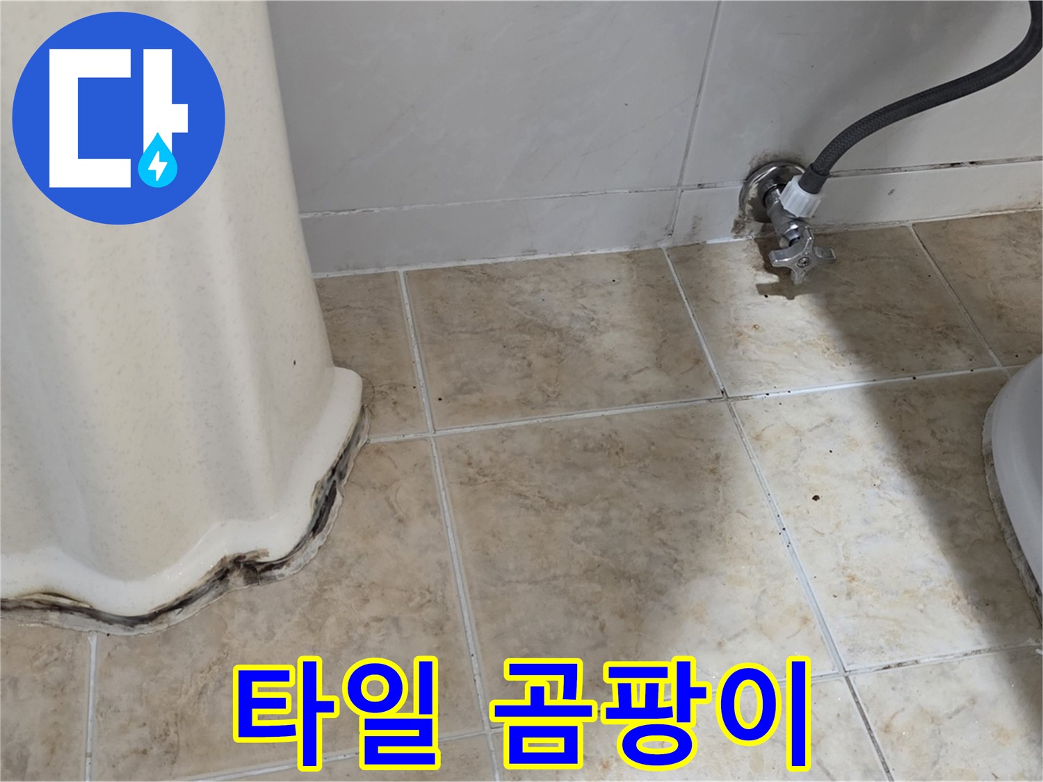 세면대 벽 타일 곰팡이 - 검은 그림자 - 곰팡이 제거