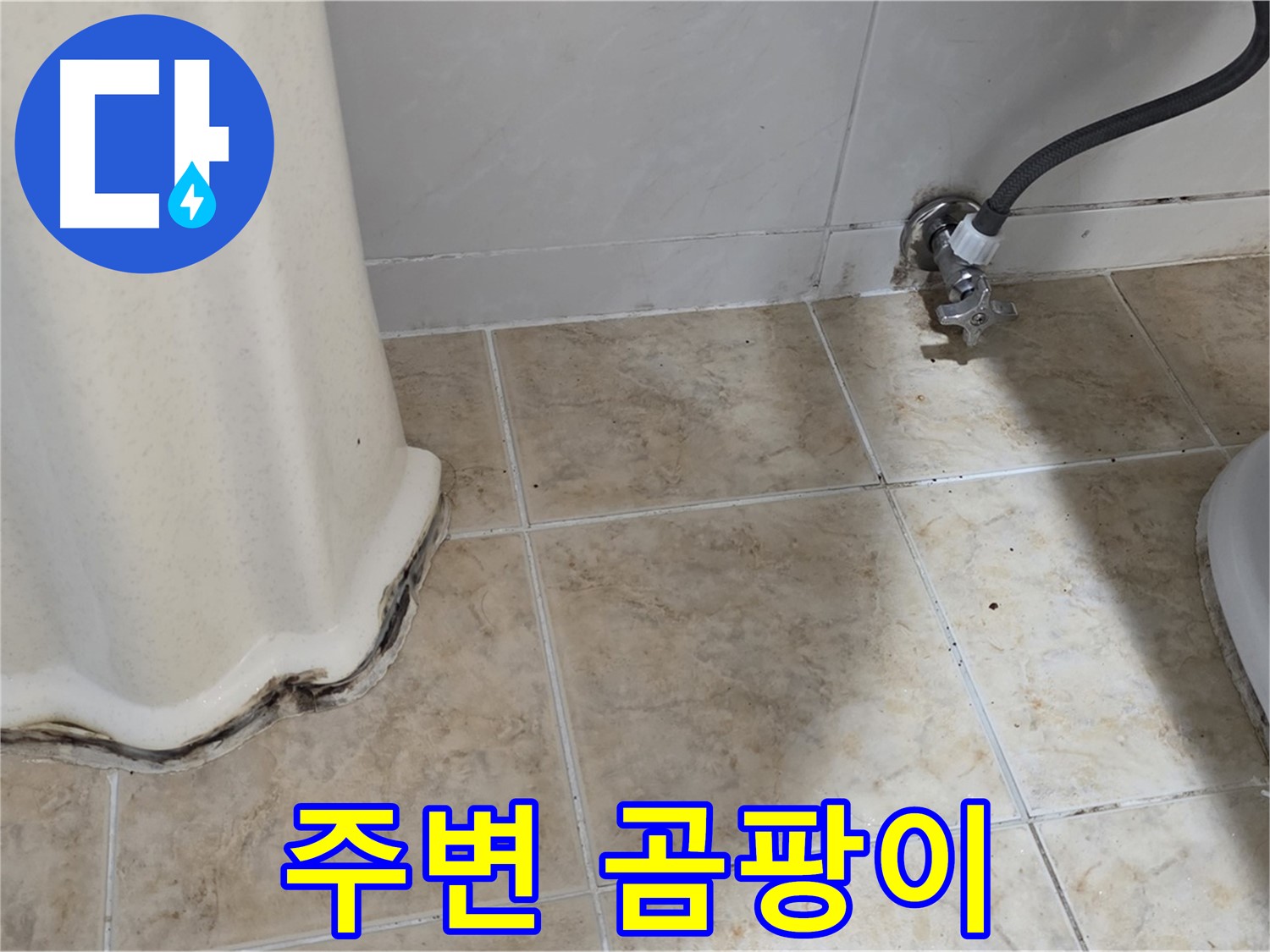 세면대 주변 곰팡이 - 이제 깨끗하게 청소하세요 - 곰팡이 청소 전문가