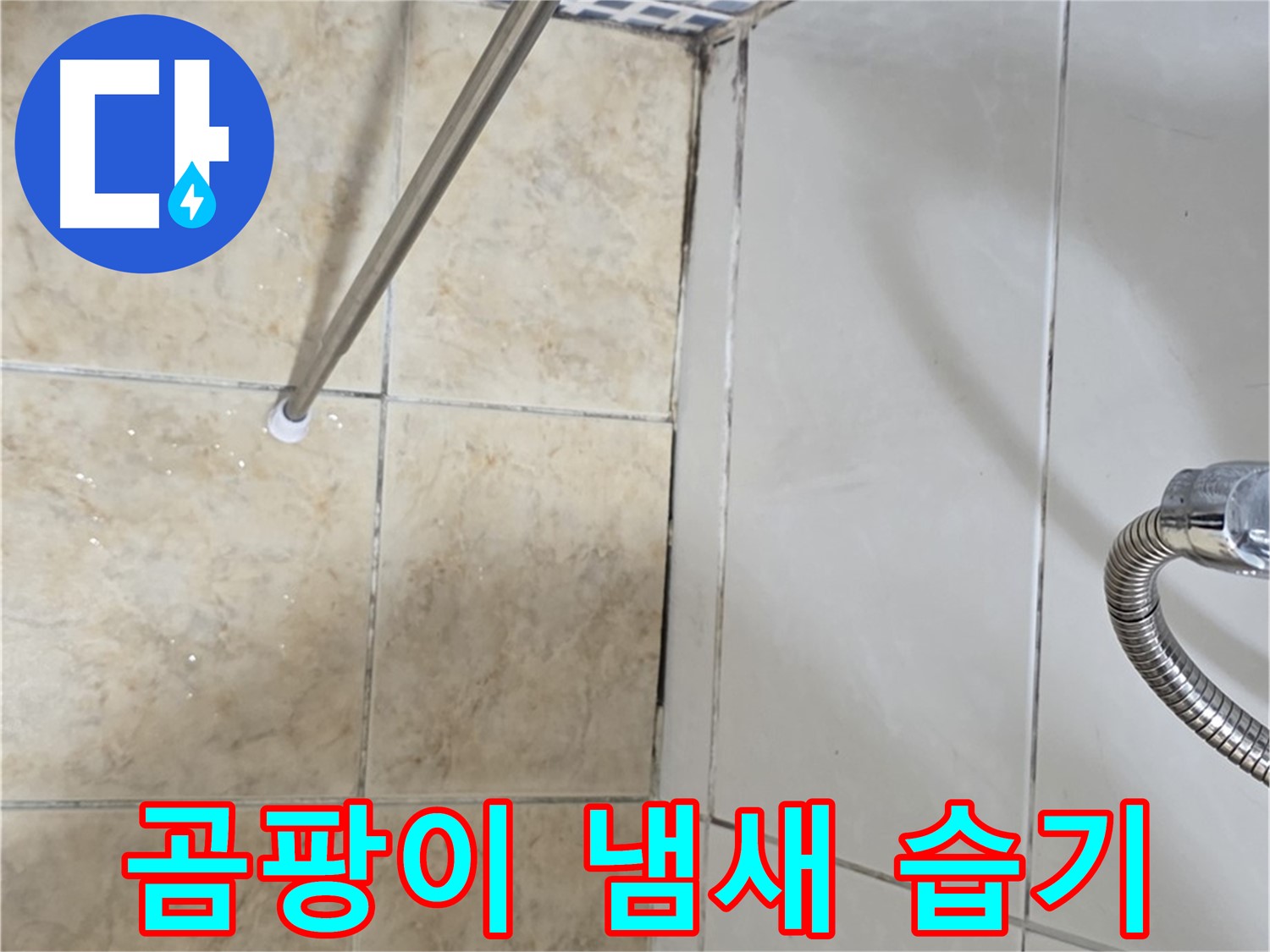 욕실 곰팡이 냄새 - 습기 - 누수 점검 - 필수