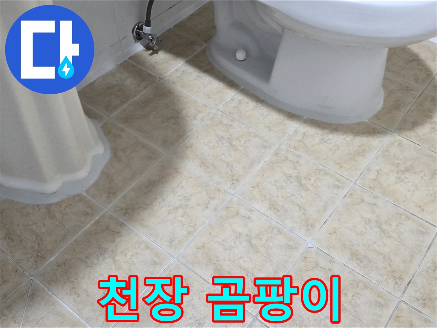 욕실 천장 곰팡이 - 윗집 누수 의심