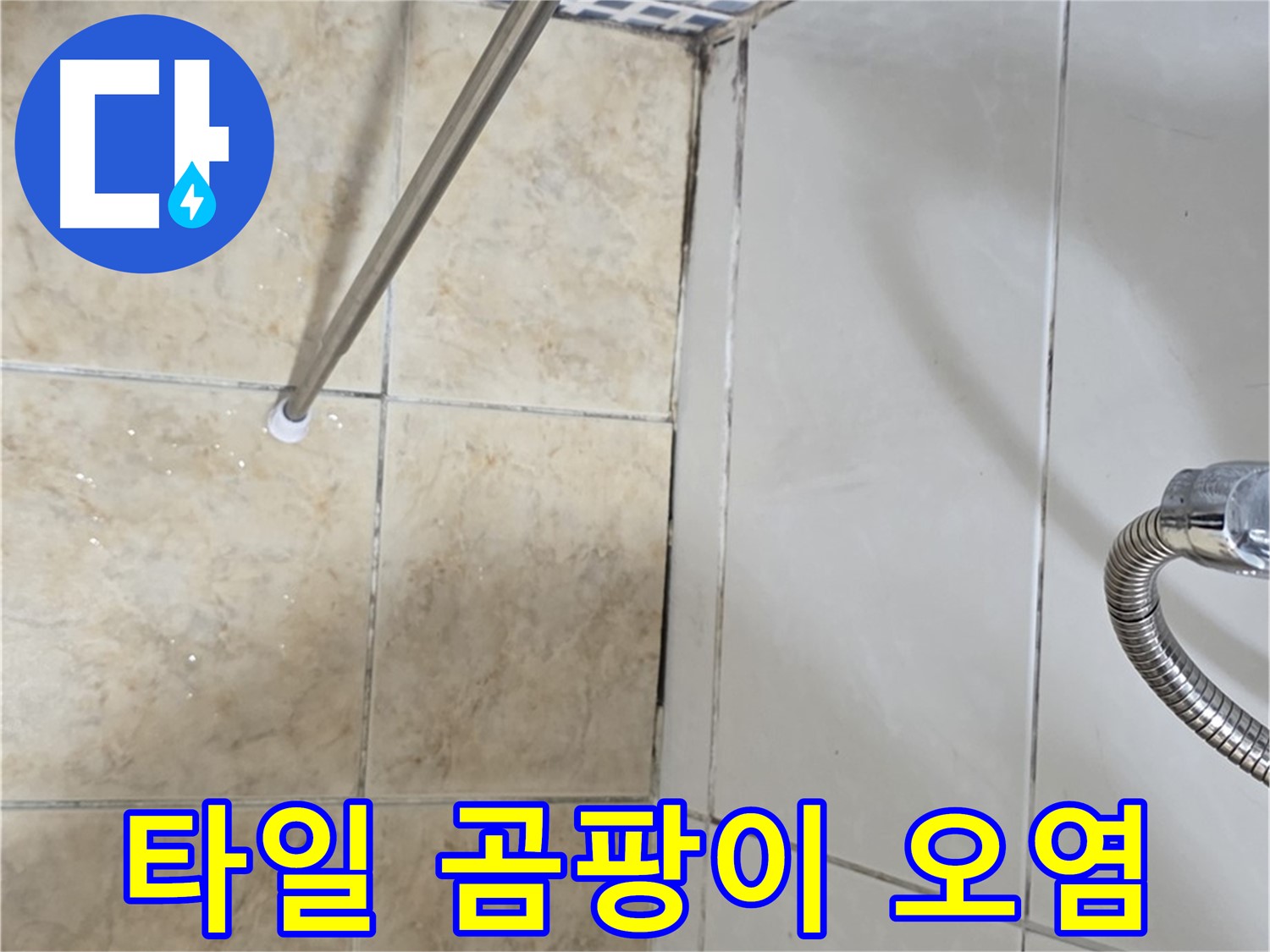 욕실 타일 곰팡이 - 백시멘트 오염 - 누수 원인 파악