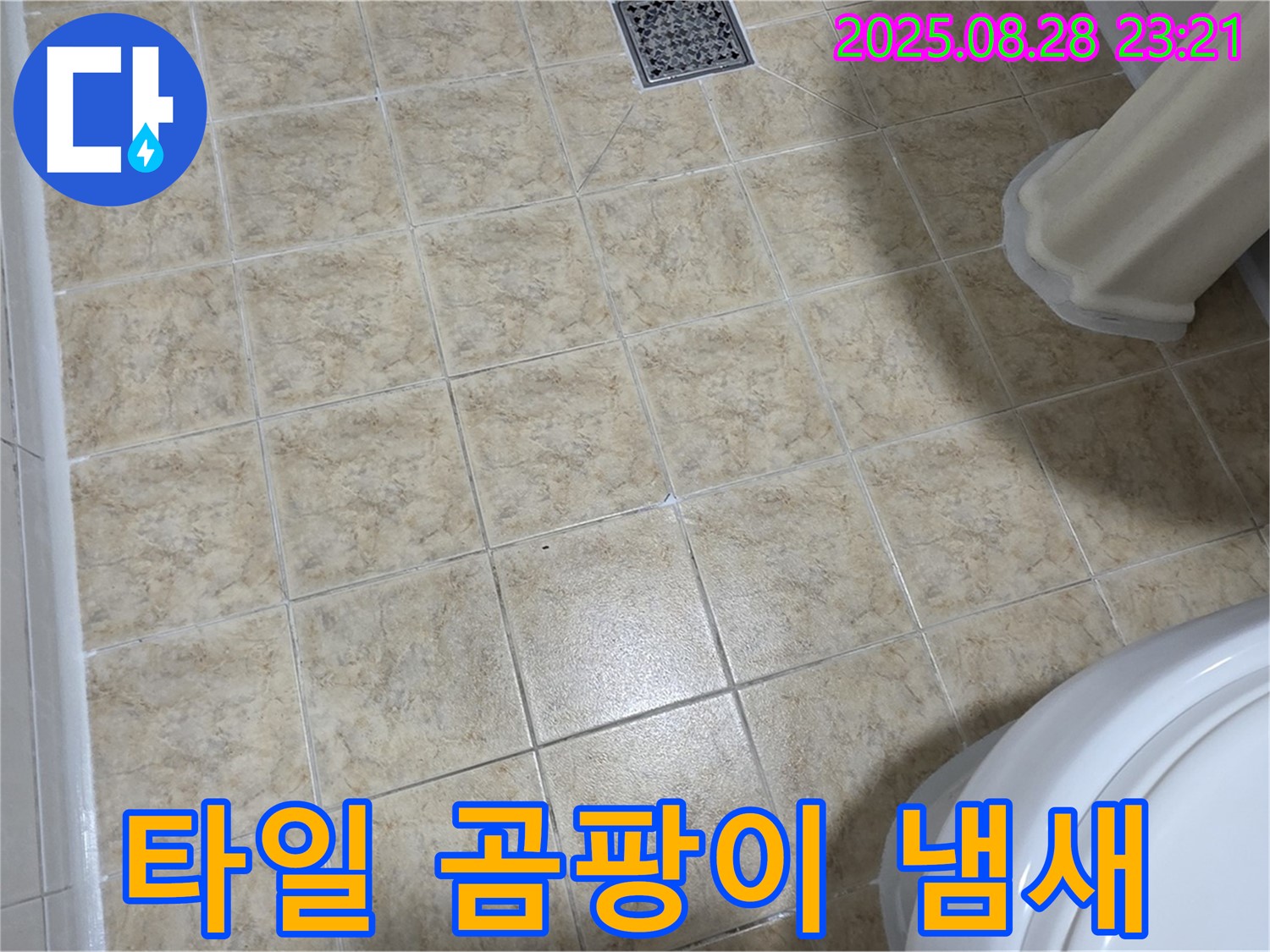 타일 곰팡이 냄새 - 전문가의 완벽 제거