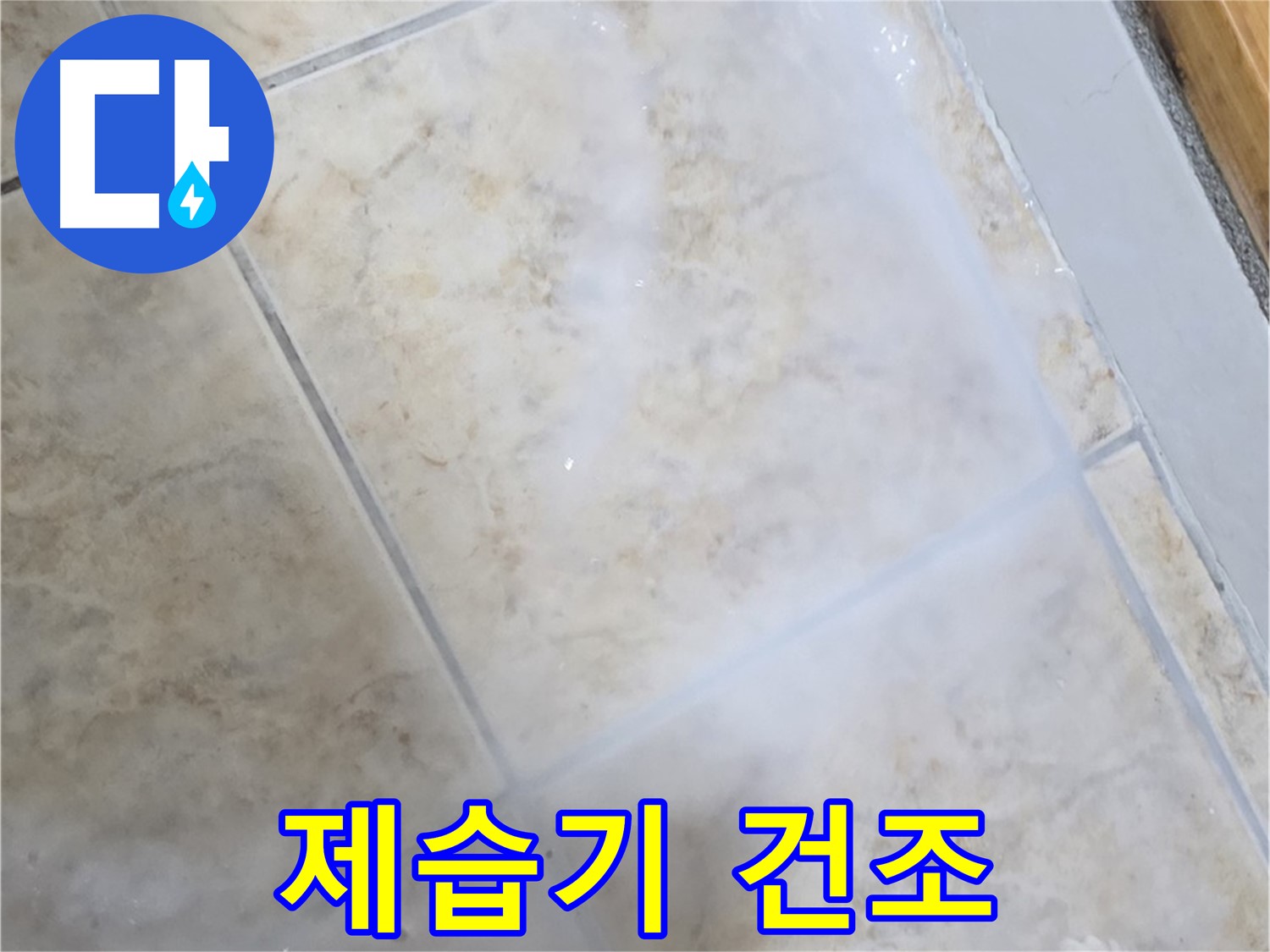 타일 누수 해결 - 제습기 건조 - 곰팡이 완벽 차단
